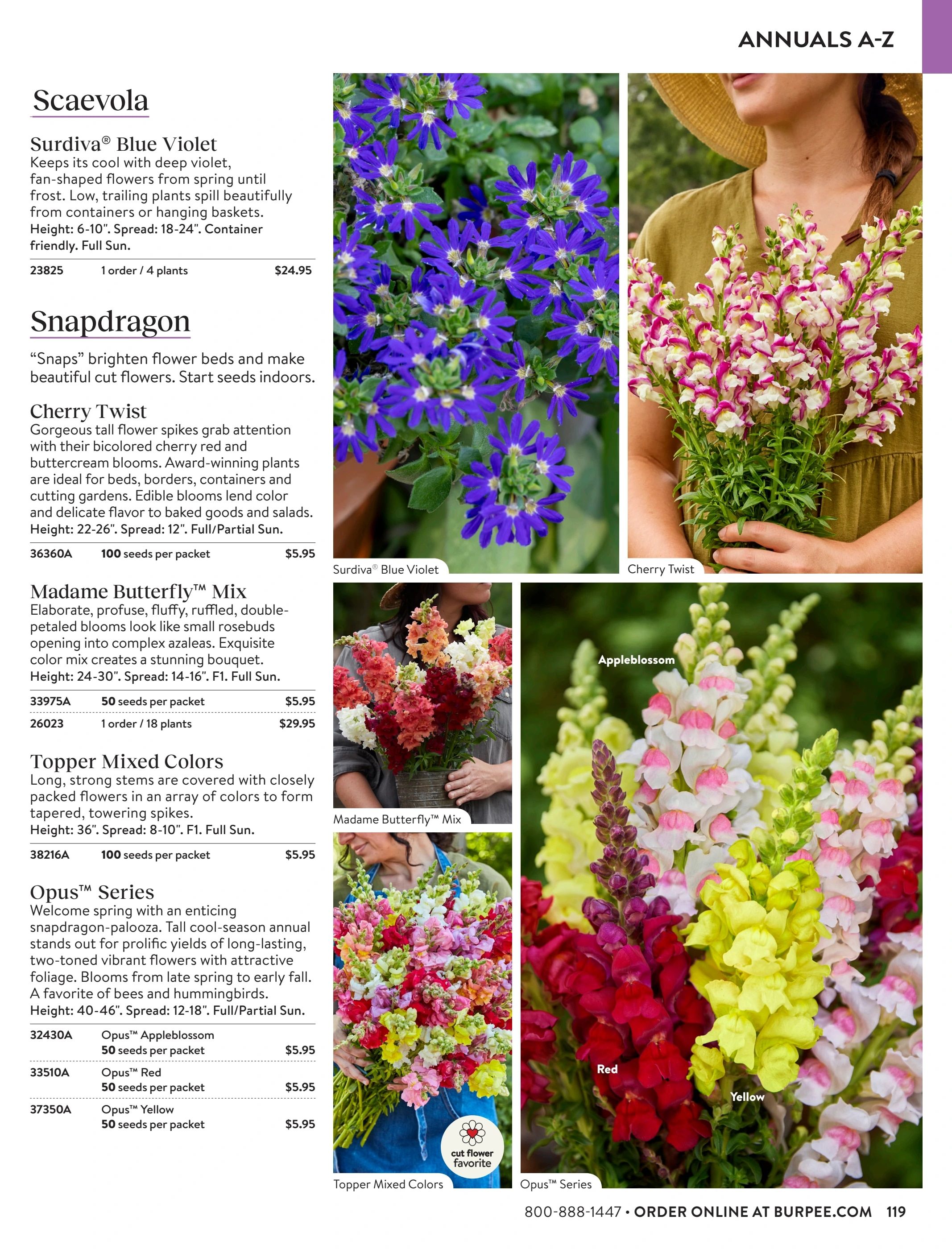 Burpee Annual Seed Catalog Weekly Ad January 1 - December 31, 2026