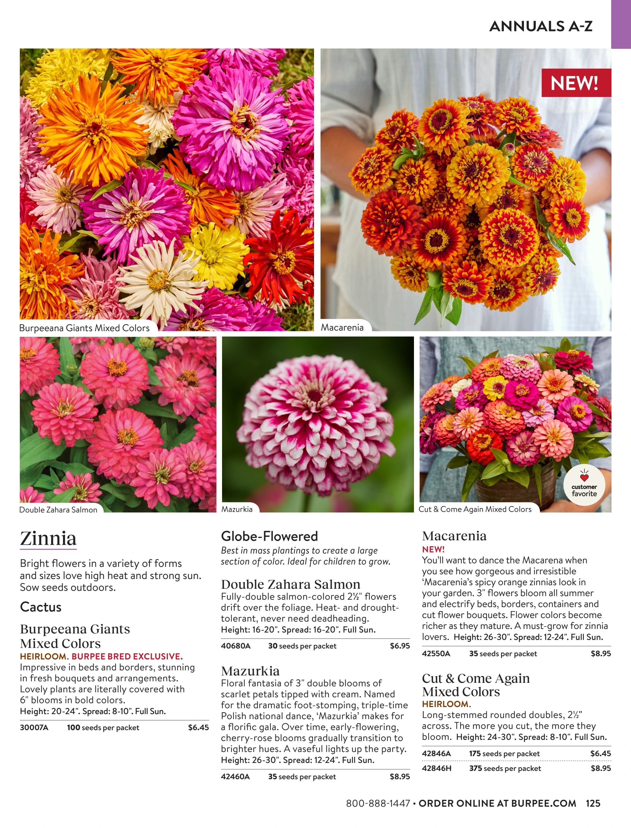 Burpee Annual Seed Catalog Weekly Ad January 1 - December 31, 2026