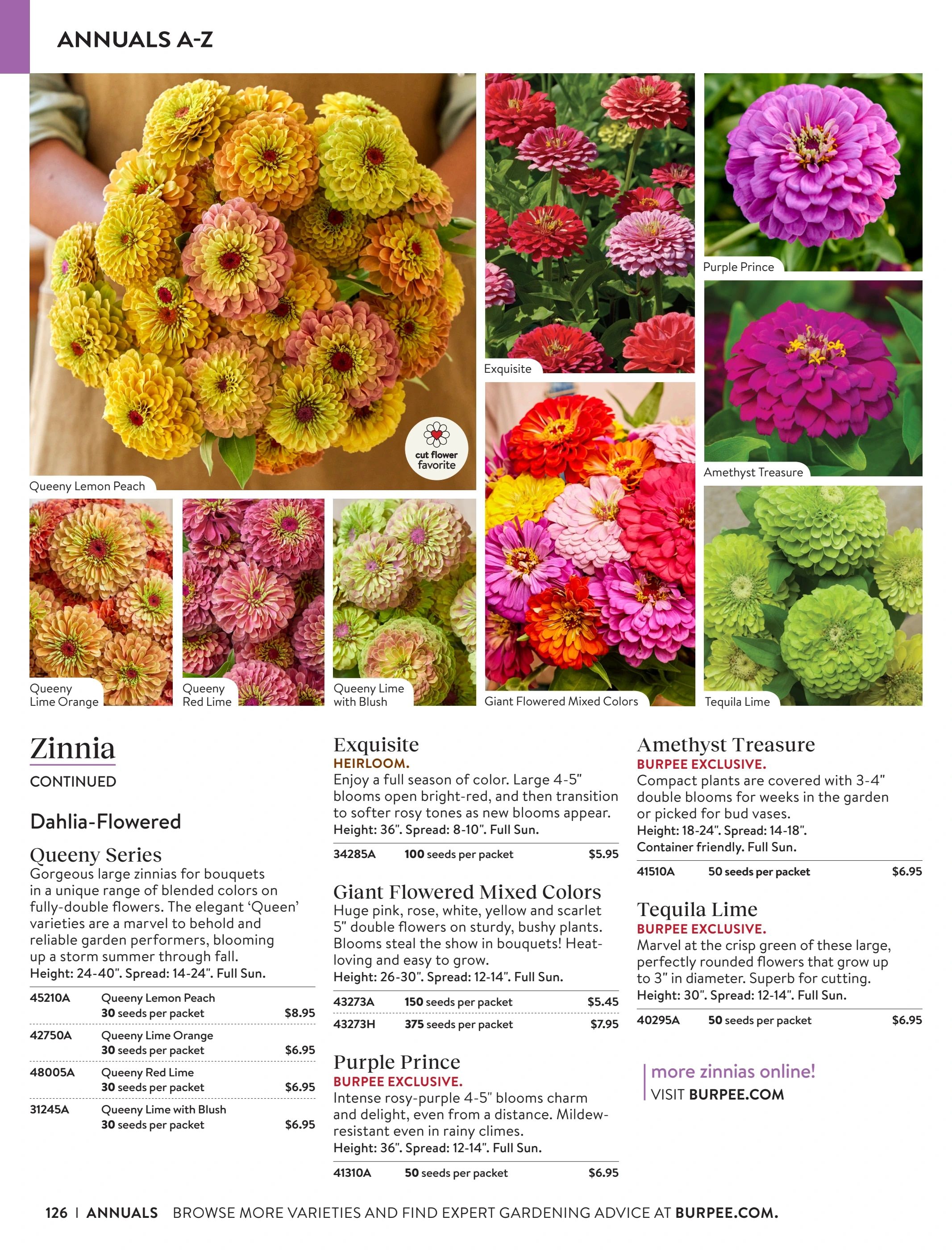 Burpee Annual Seed Catalog Weekly Ad January 1 - December 31, 2026