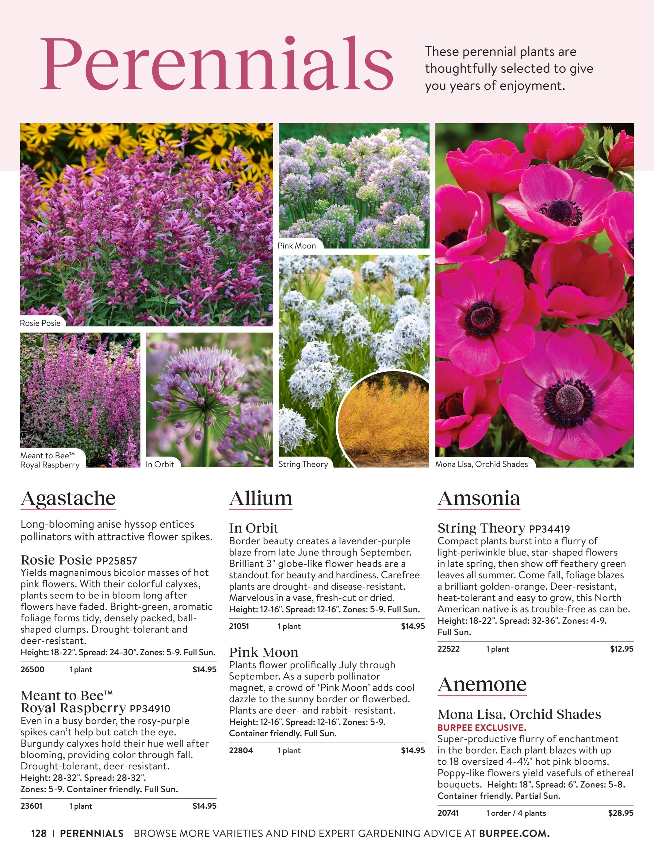 Burpee Annual Seed Catalog Weekly Ad January 1 - December 31, 2026