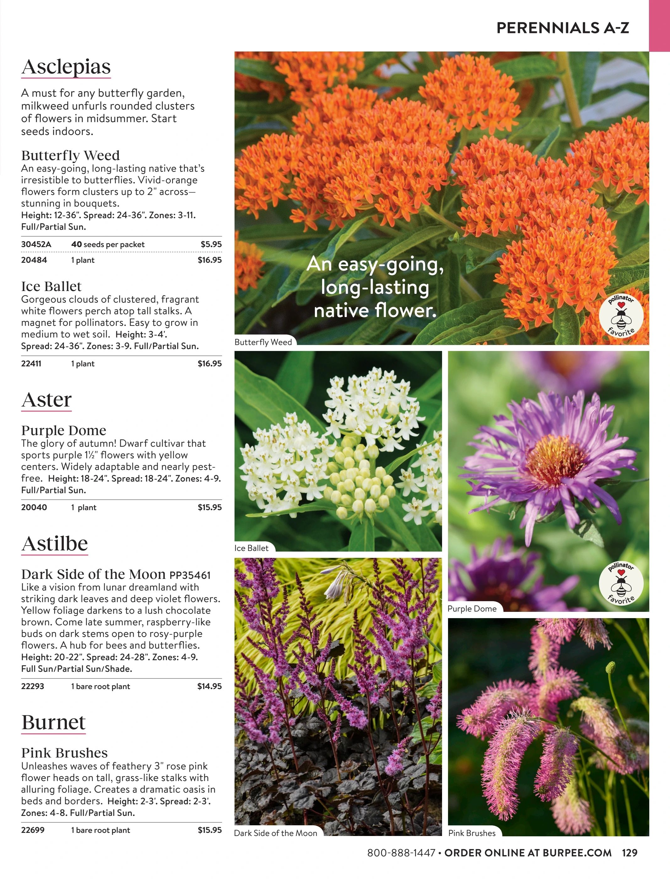 Burpee Annual Seed Catalog Weekly Ad January 1 - December 31, 2026