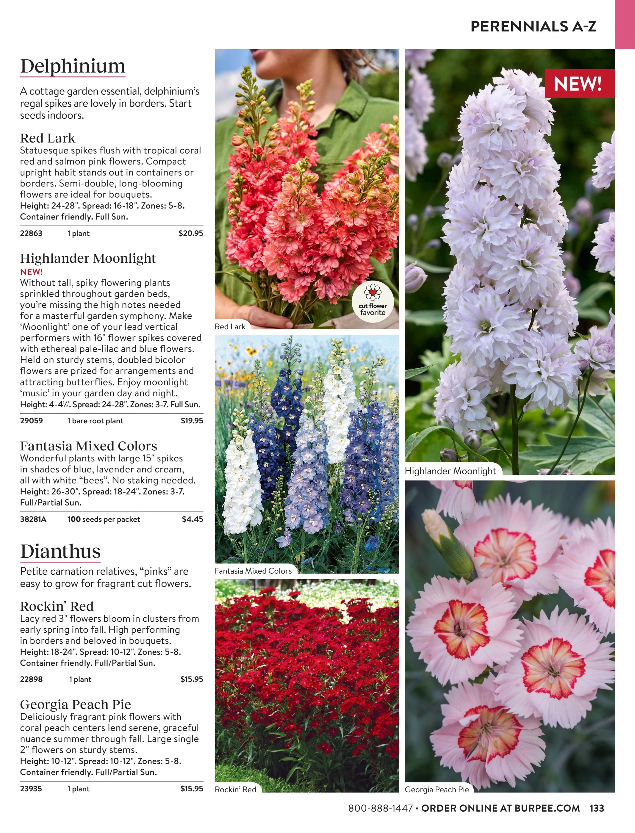 Burpee Annual Seed Catalog Weekly Ad January 1 - December 31, 2026