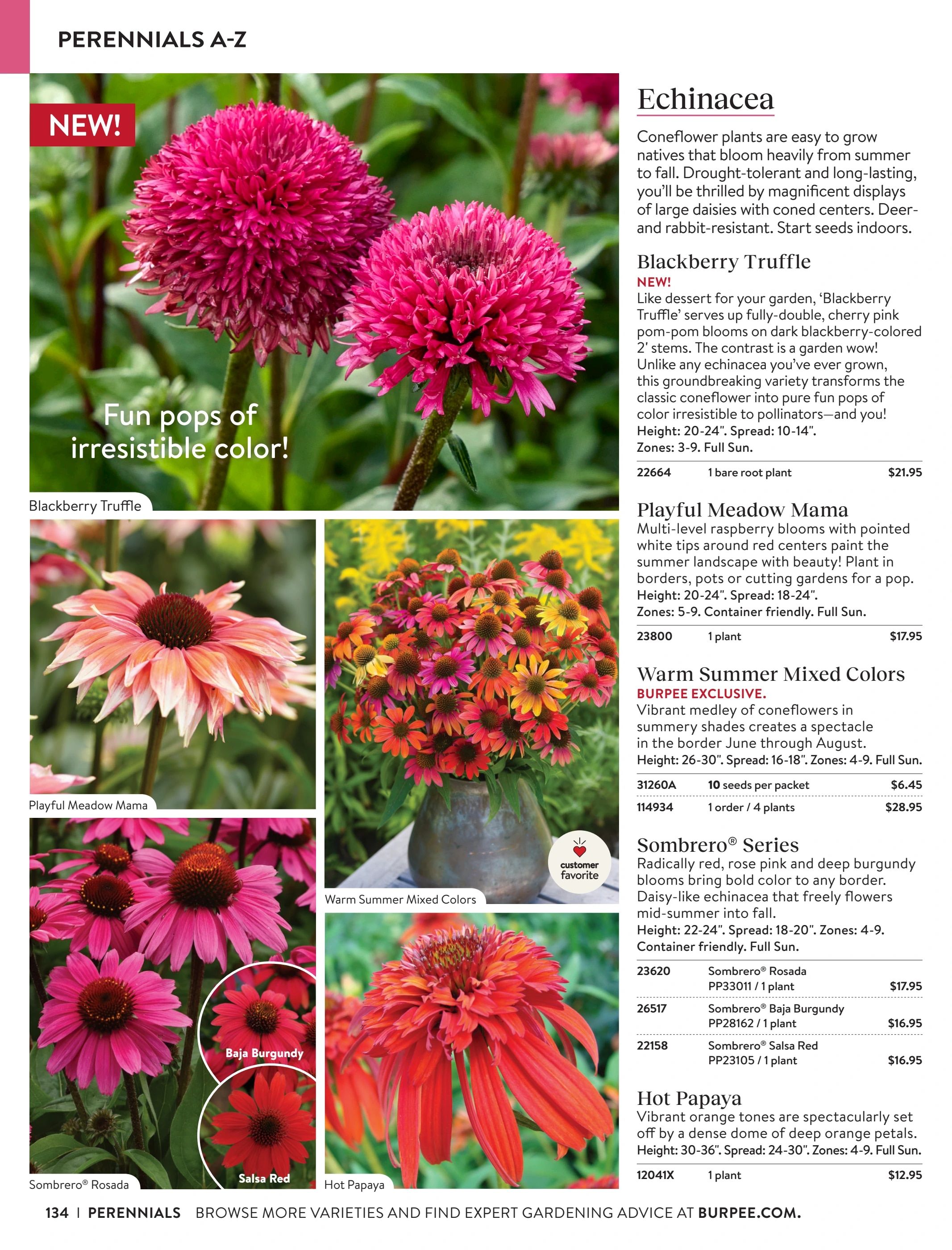 Burpee Annual Seed Catalog Weekly Ad January 1 - December 31, 2026