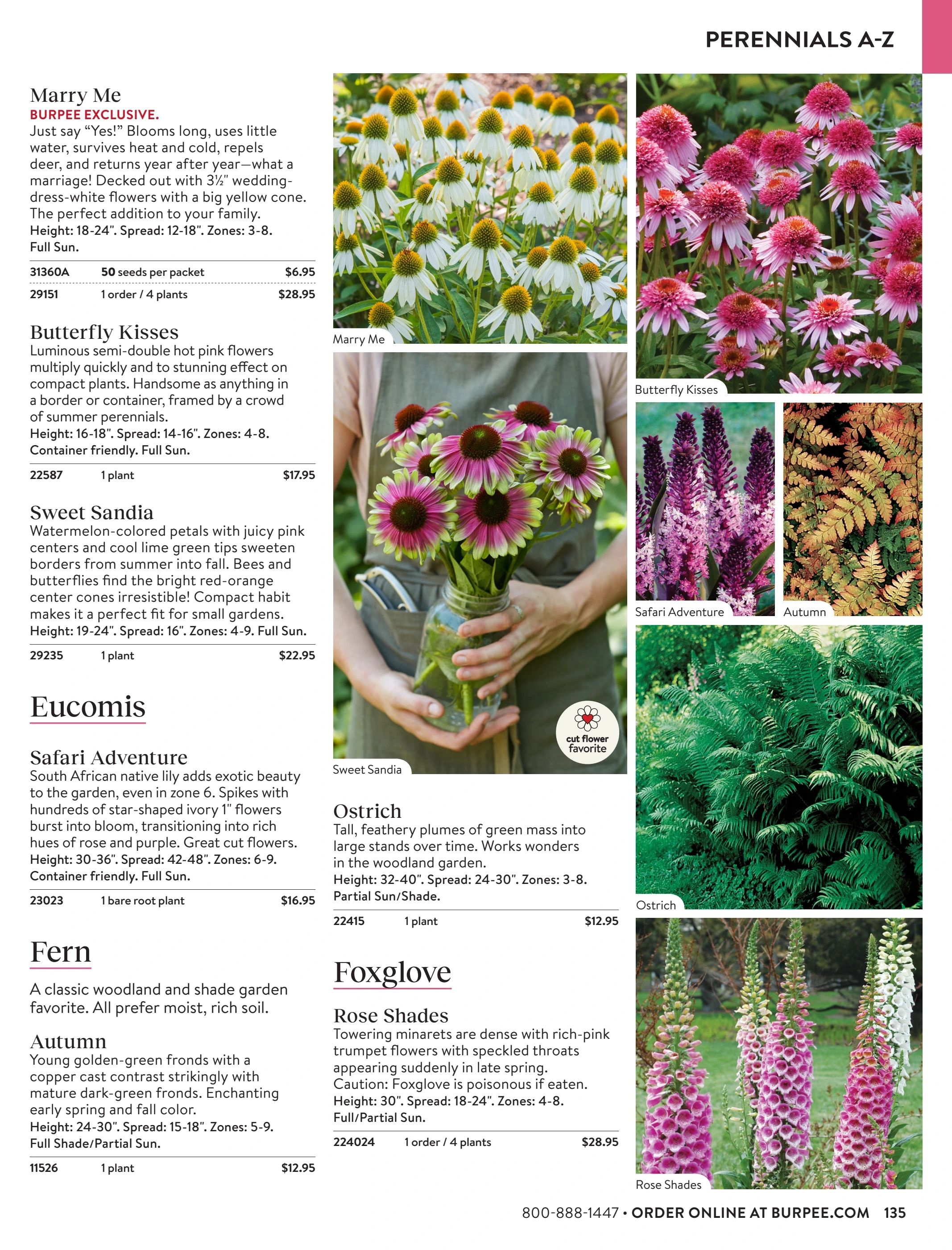Burpee Annual Seed Catalog Weekly Ad January 1 - December 31, 2026
