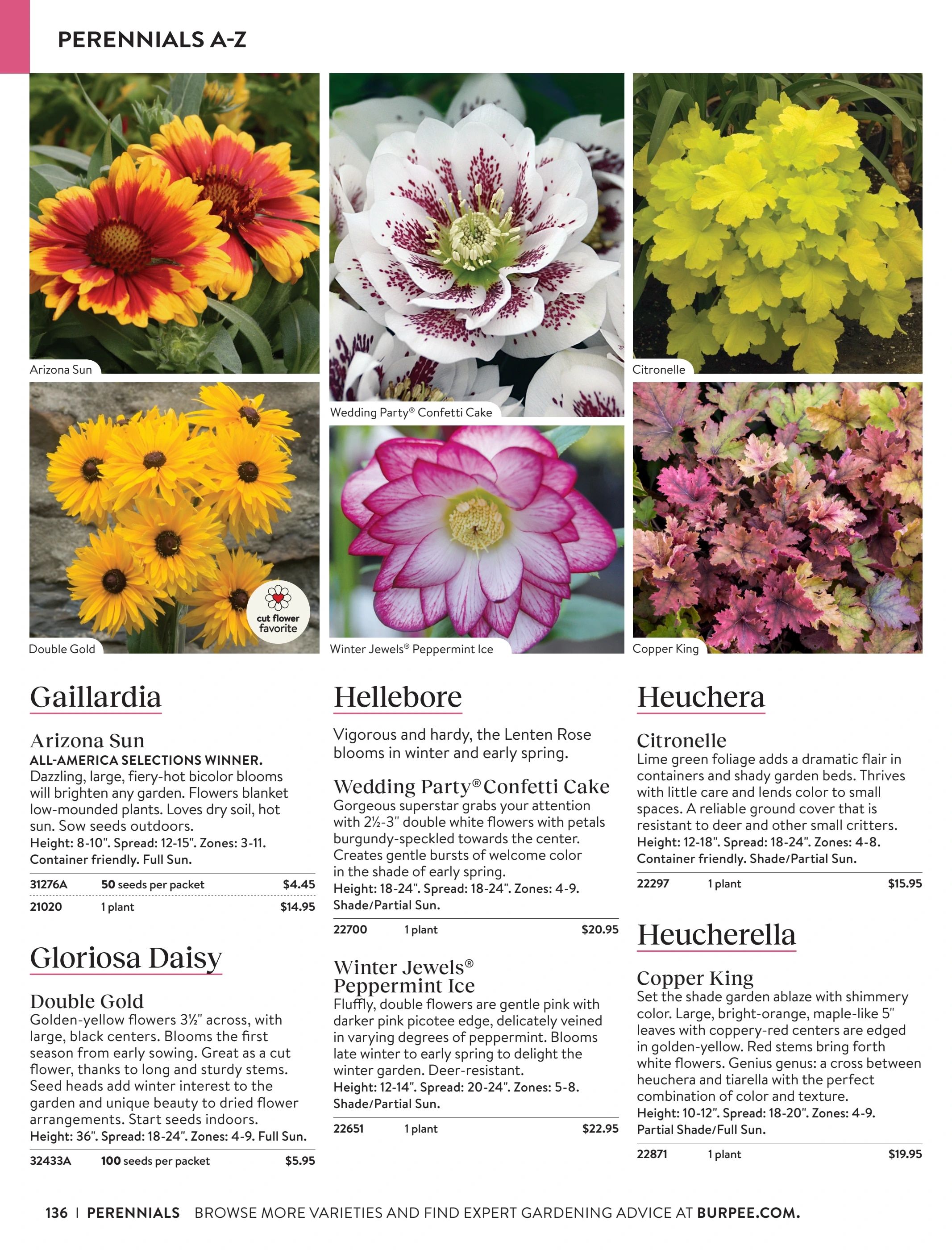 Burpee Annual Seed Catalog Weekly Ad January 1 - December 31, 2026