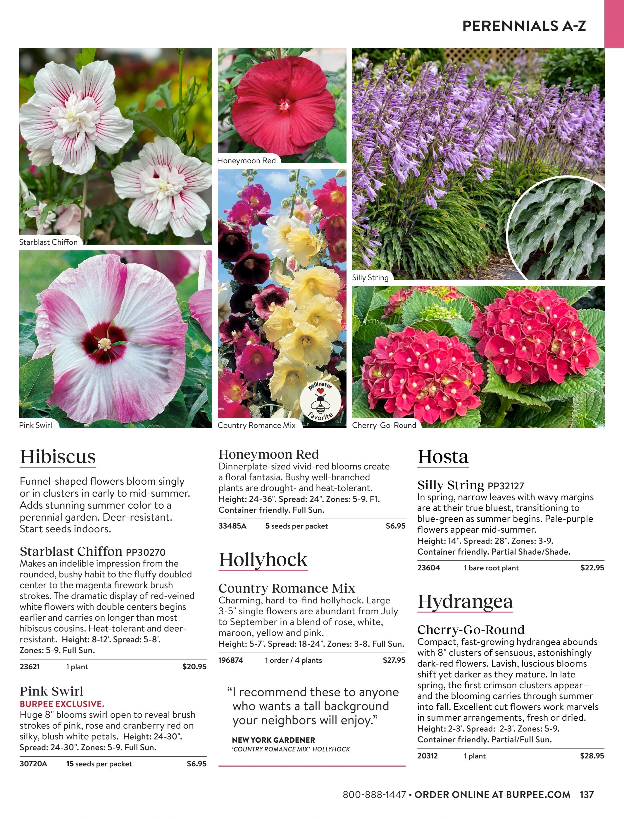 Burpee Annual Seed Catalog Weekly Ad January 1 - December 31, 2026