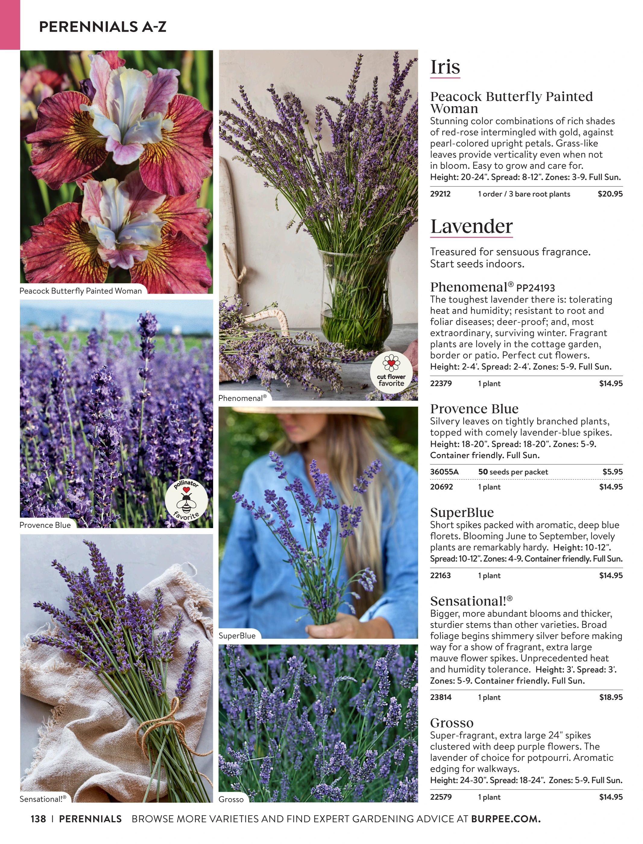 Burpee Annual Seed Catalog Weekly Ad January 1 - December 31, 2026