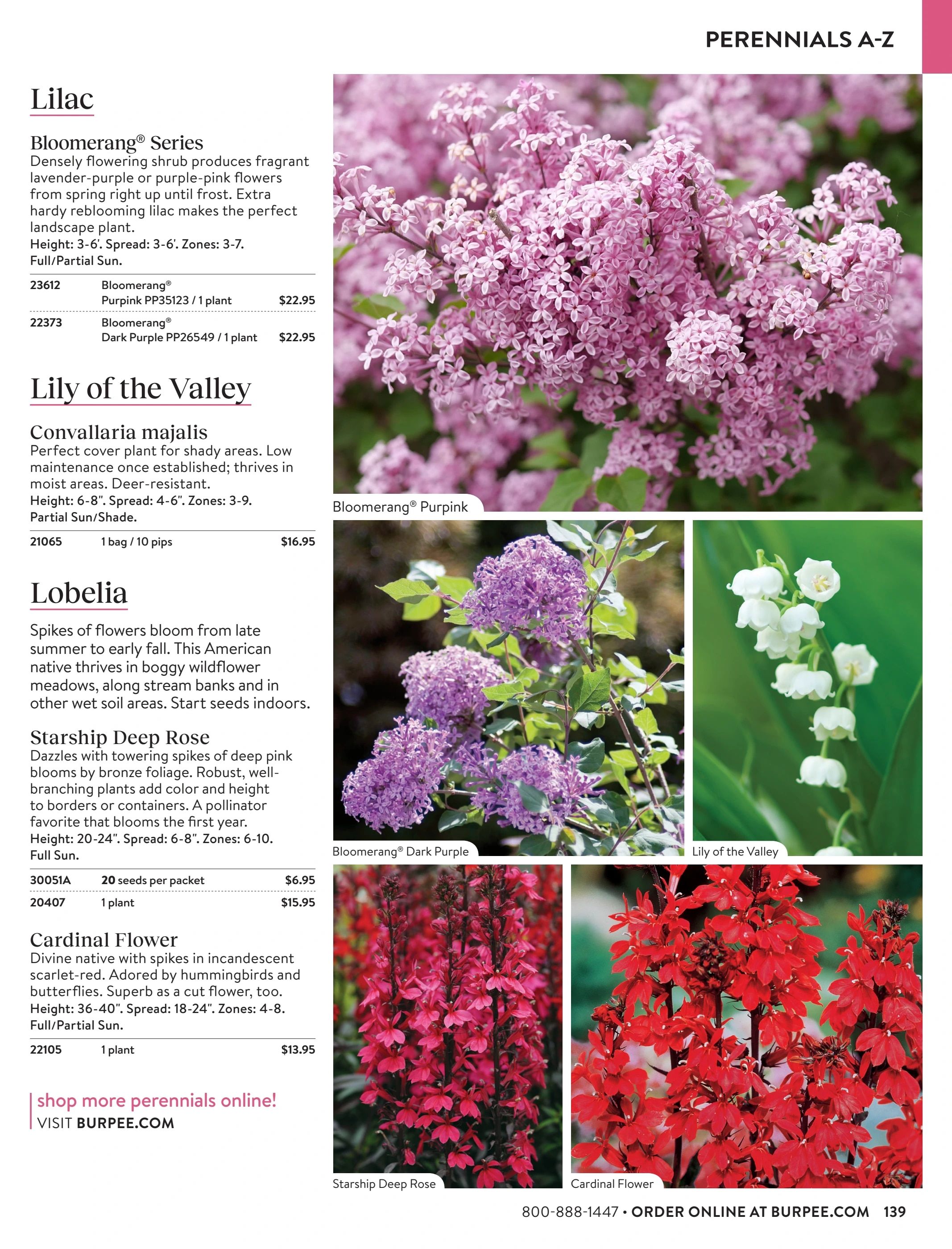 Burpee Annual Seed Catalog Weekly Ad January 1 - December 31, 2026