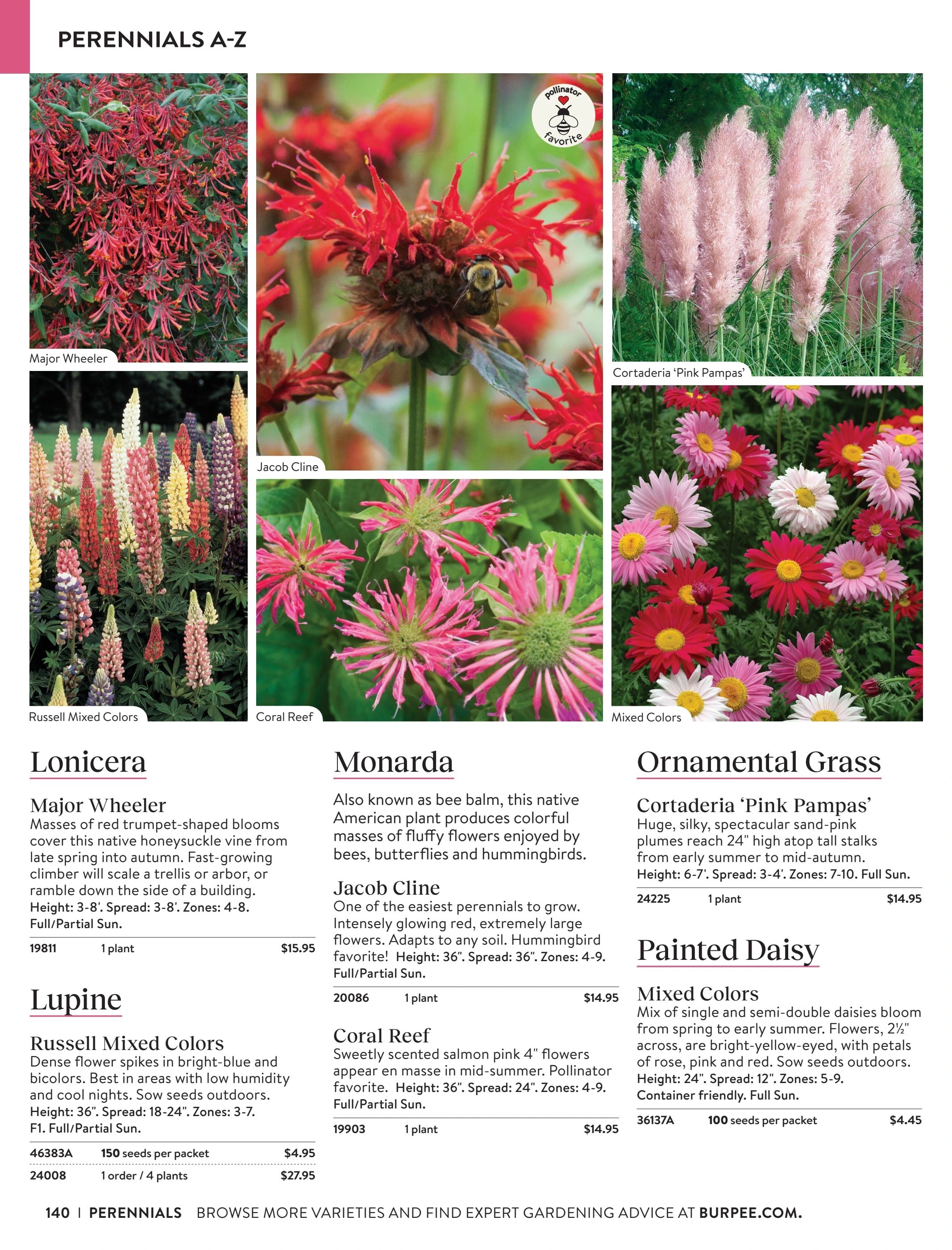 Burpee Annual Seed Catalog Weekly Ad January 1 - December 31, 2026