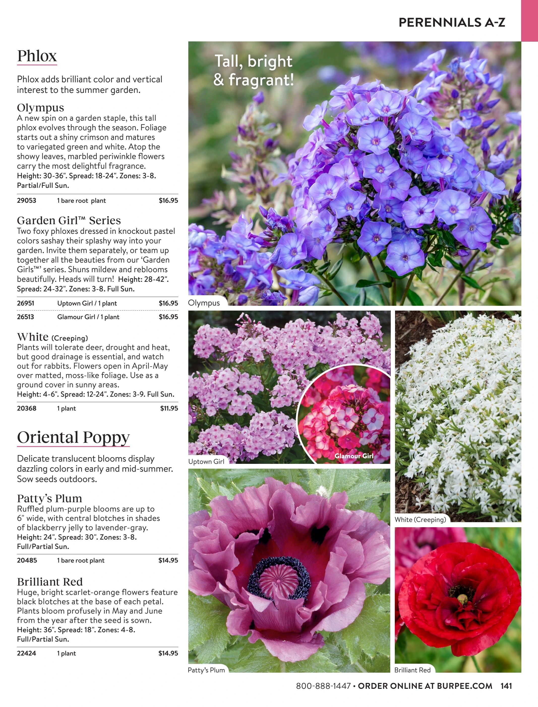 Burpee Annual Seed Catalog Weekly Ad January 1 - December 31, 2026