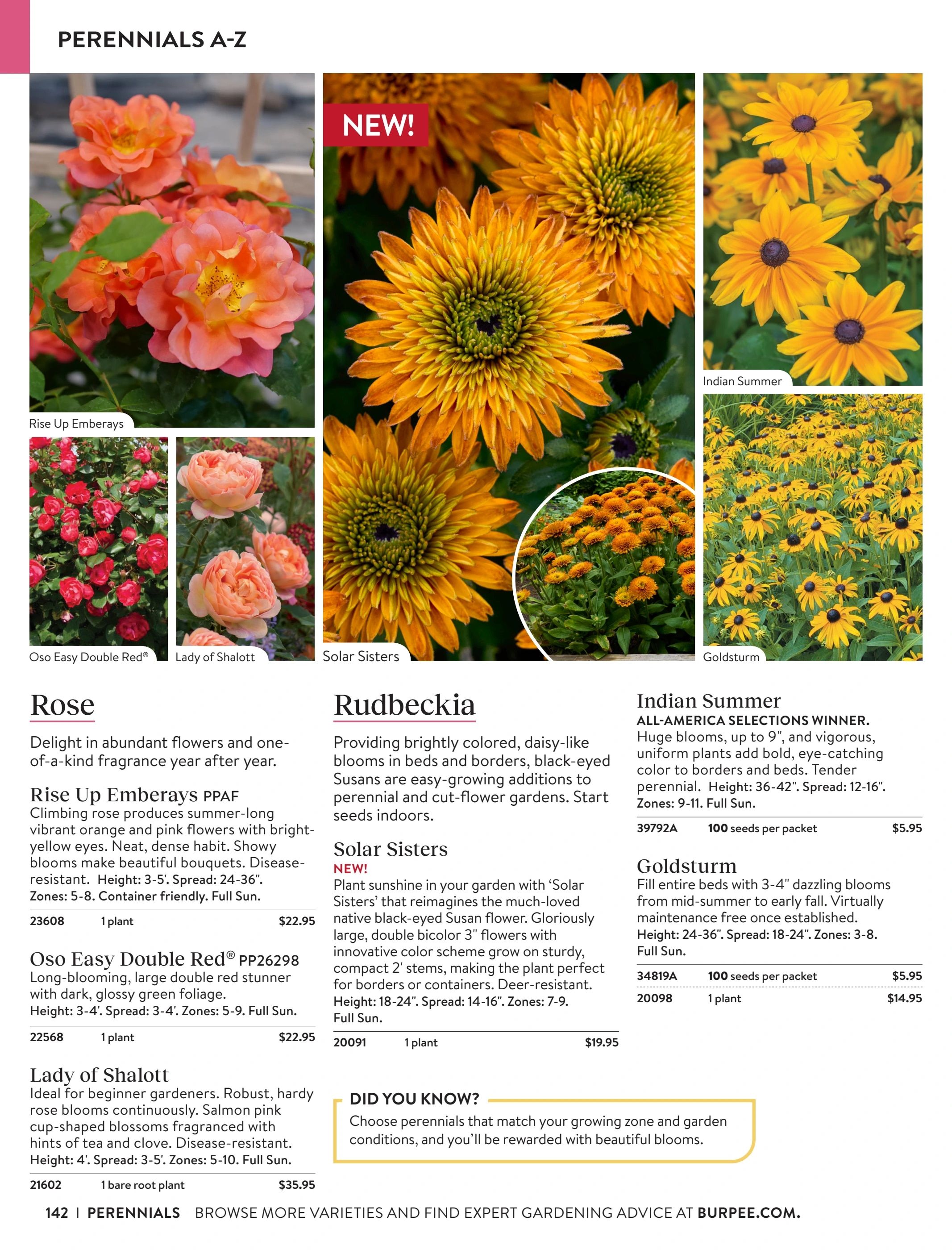 Burpee Annual Seed Catalog Weekly Ad January 1 - December 31, 2026