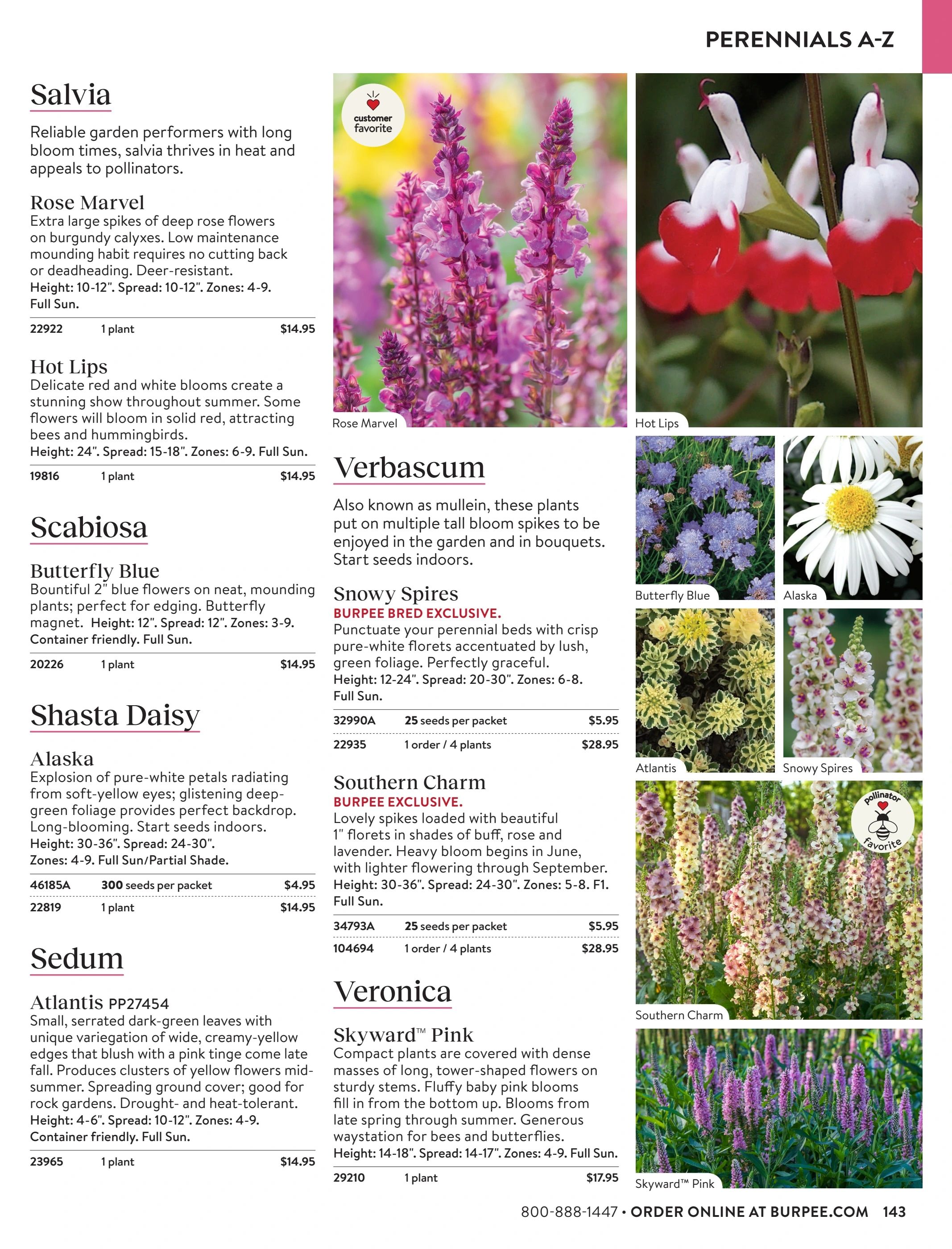 Burpee Annual Seed Catalog Weekly Ad January 1 - December 31, 2026
