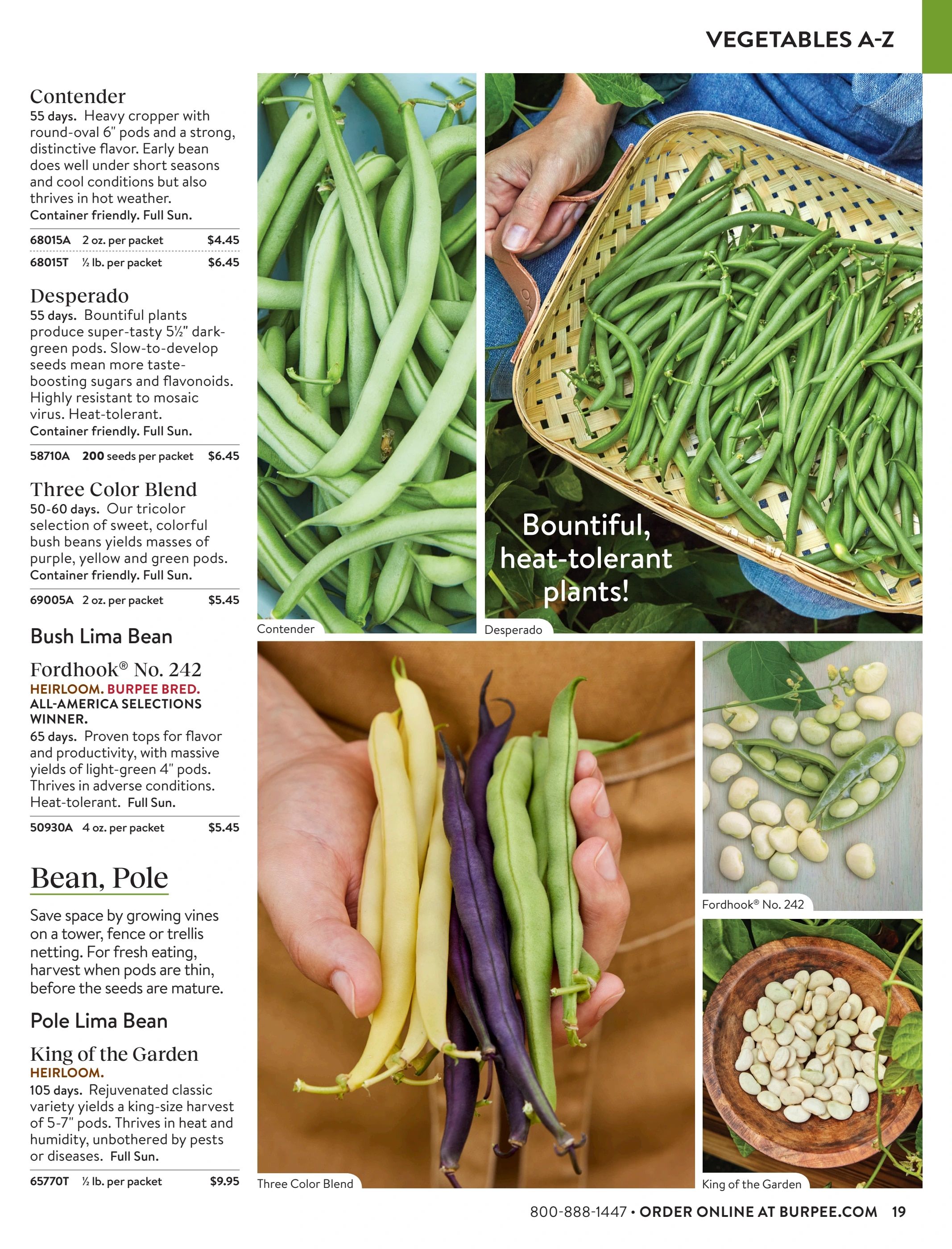 Burpee Annual Seed Catalog Weekly Ad January 1 - December 31, 2026