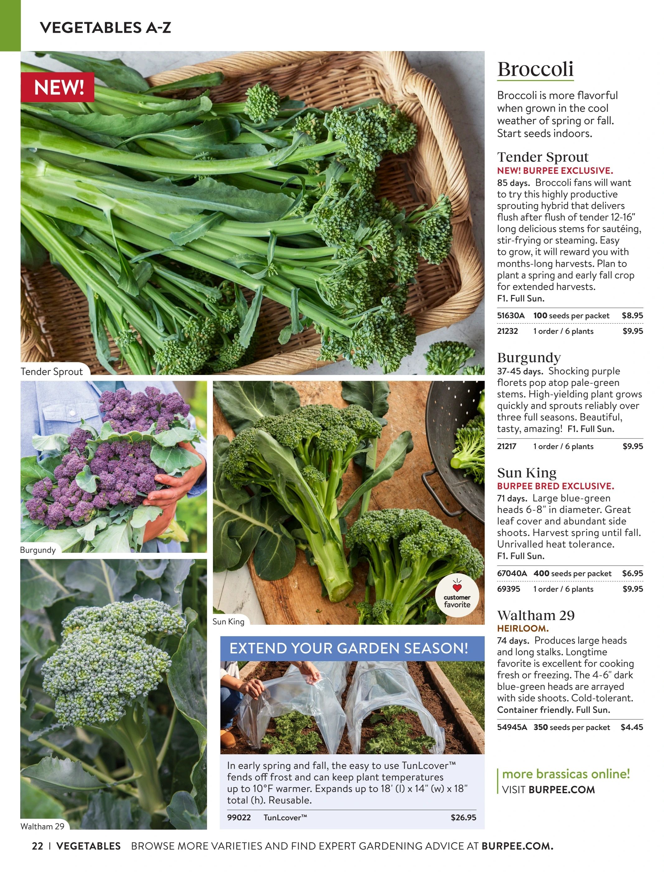 Burpee Annual Seed Catalog Weekly Ad January 1 - December 31, 2026