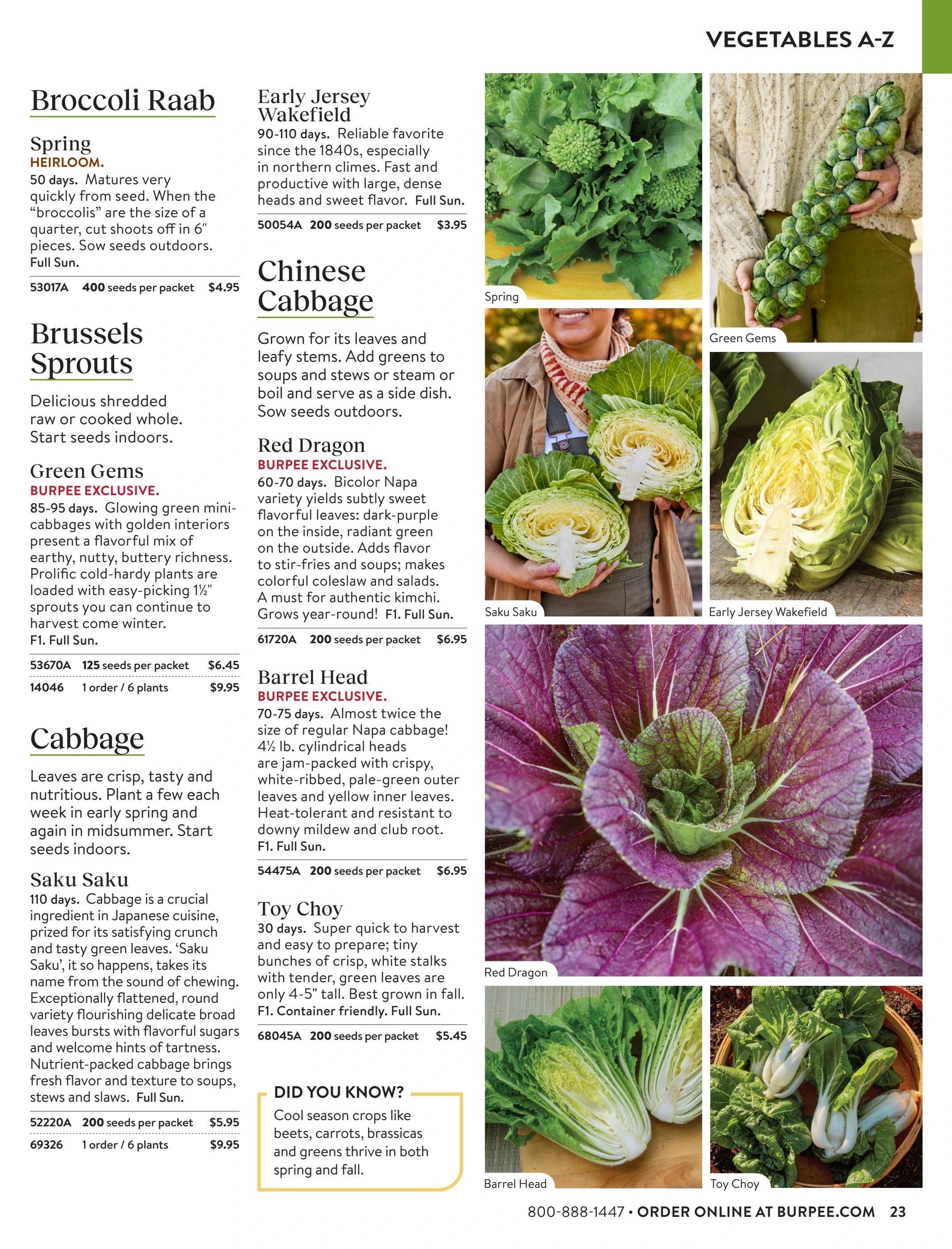 Burpee Annual Seed Catalog Weekly Ad January 1 - December 31, 2026