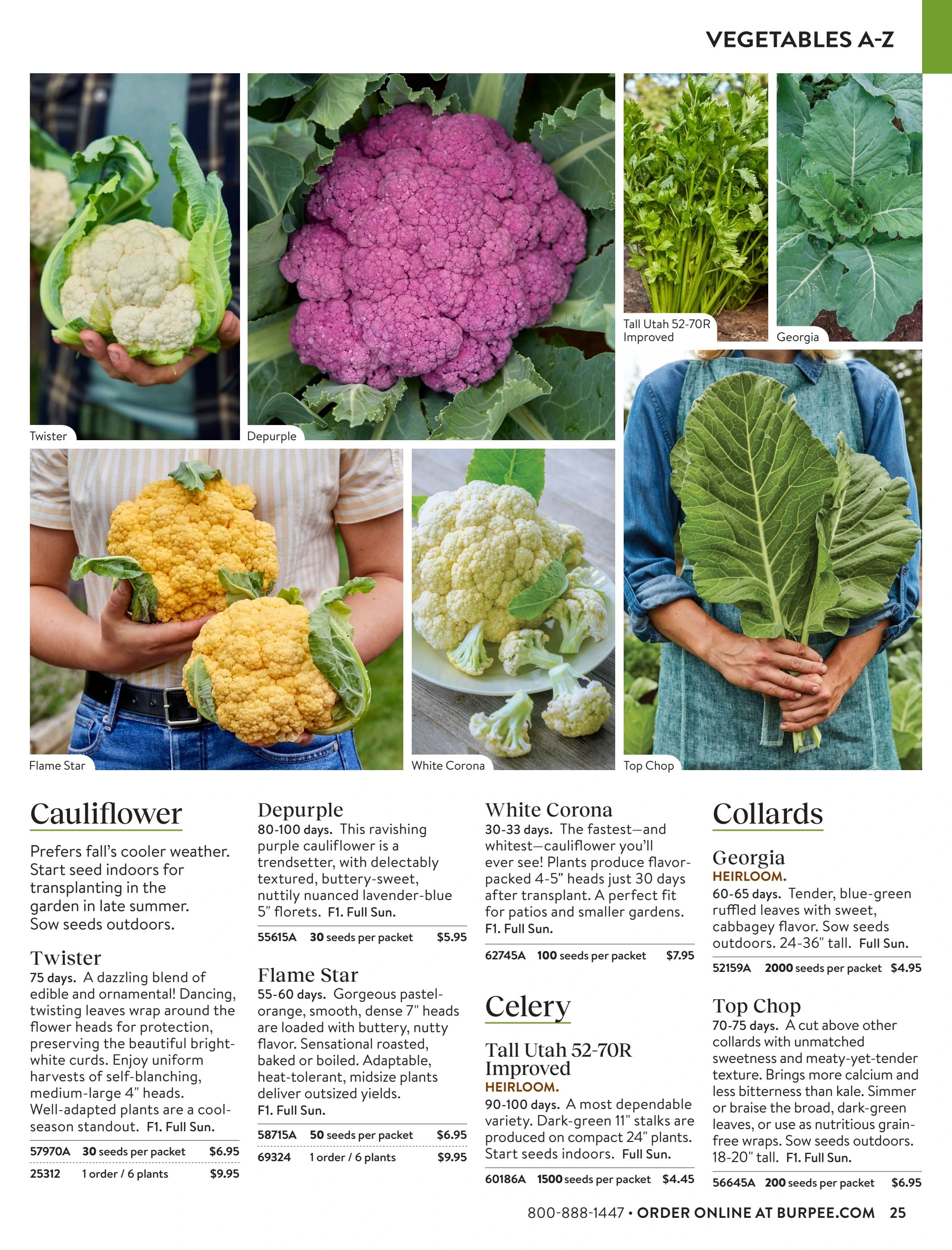 Burpee Annual Seed Catalog Weekly Ad January 1 - December 31, 2026