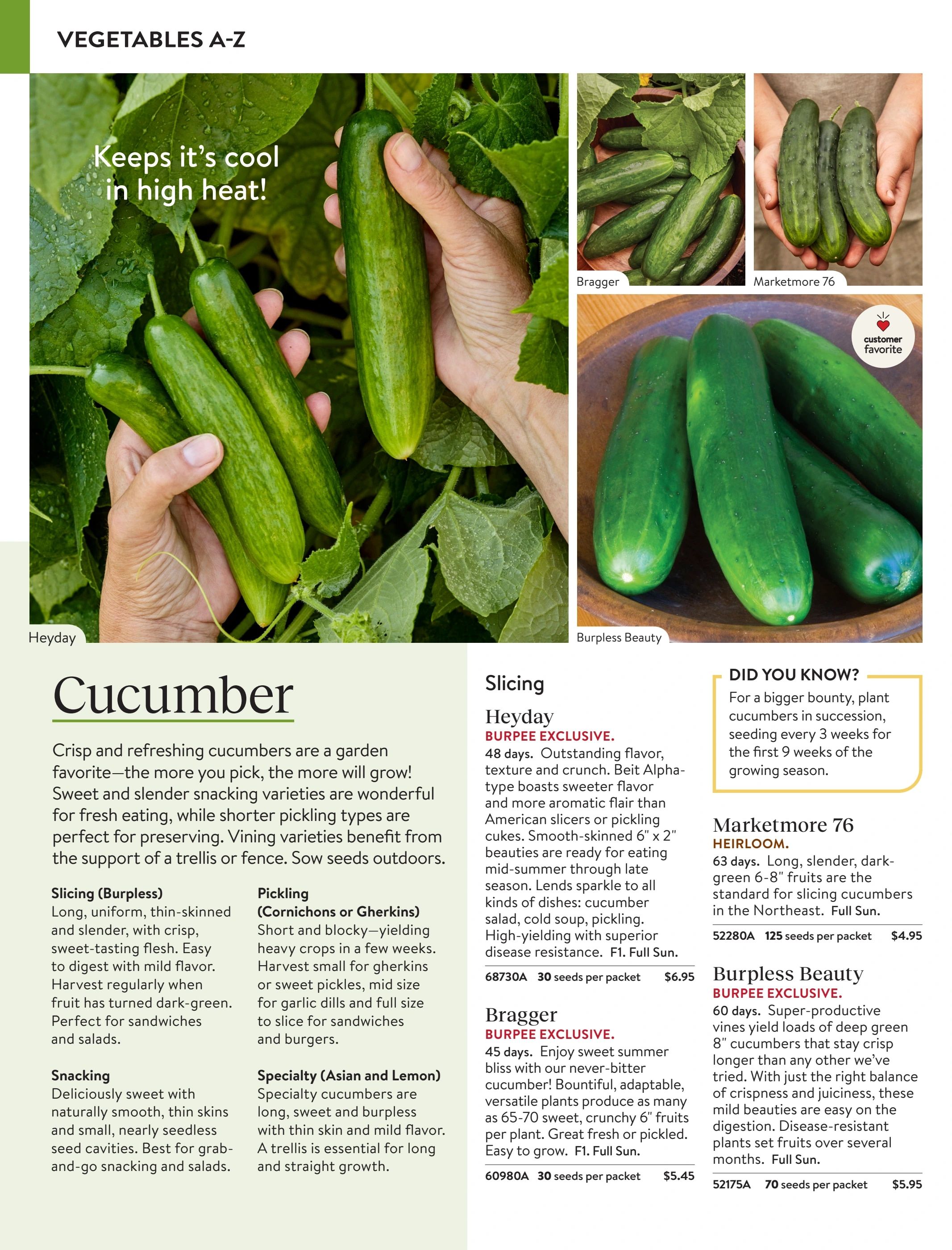 Burpee Annual Seed Catalog Weekly Ad January 1 - December 31, 2026