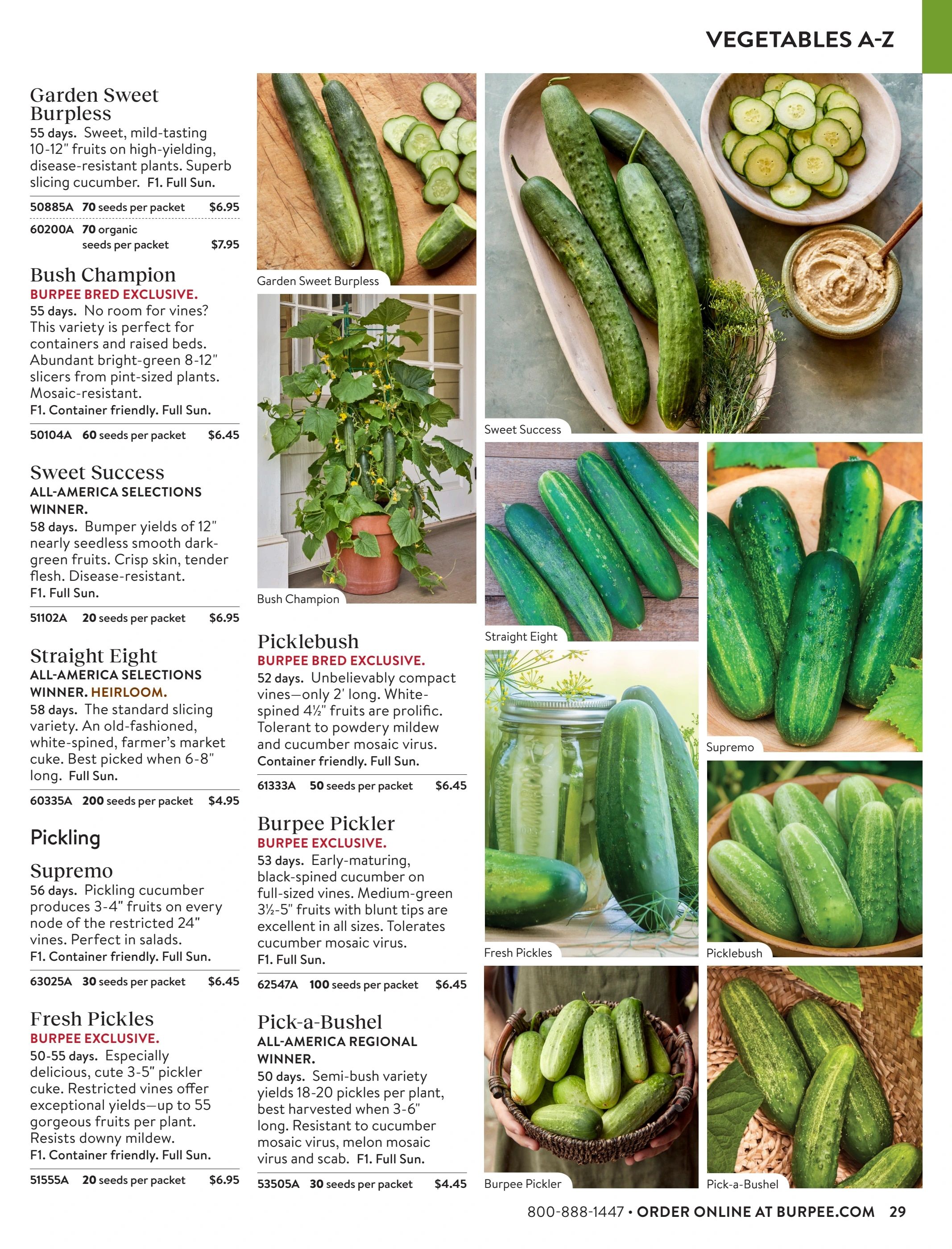 Burpee Annual Seed Catalog Weekly Ad January 1 - December 31, 2026