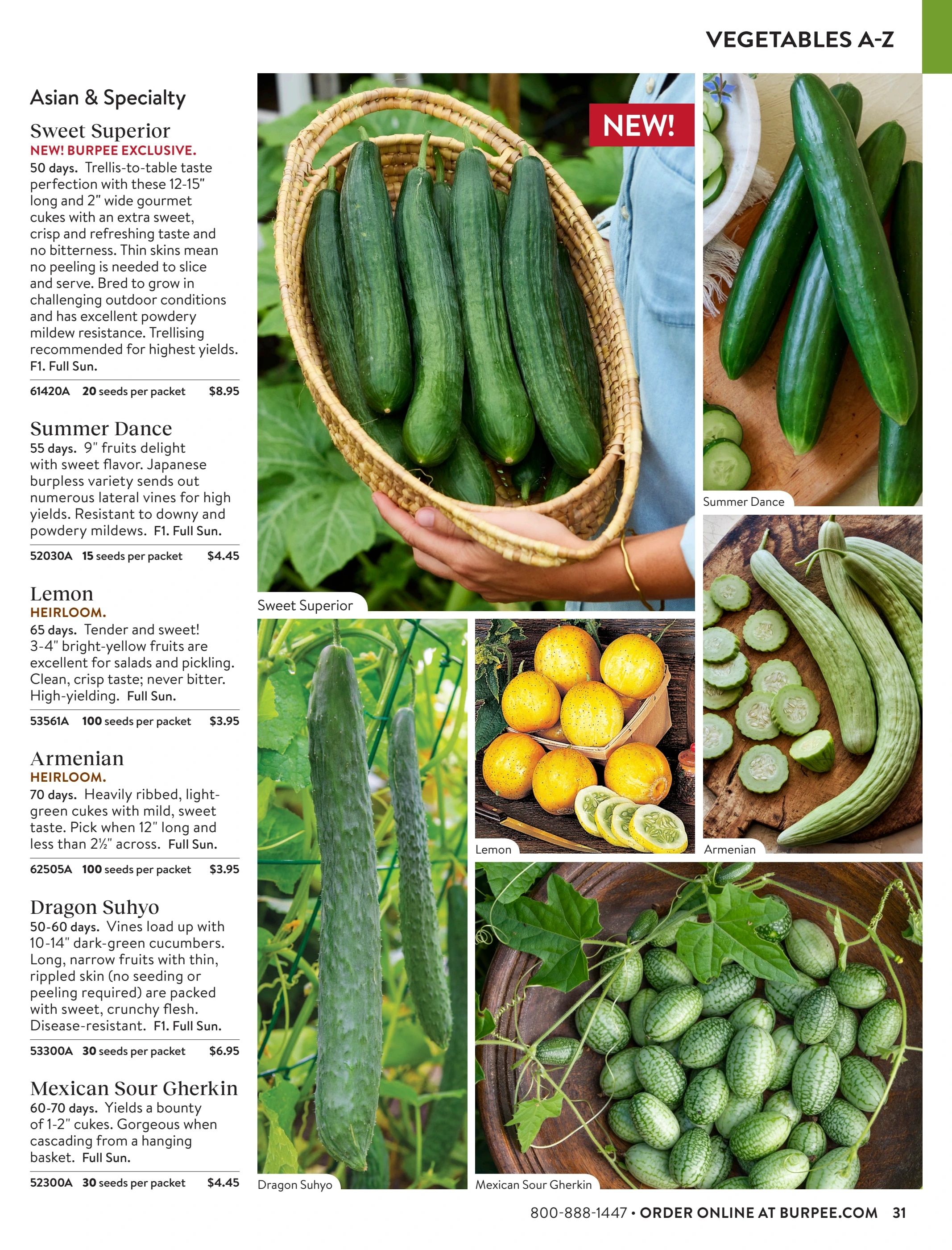 Burpee Annual Seed Catalog Weekly Ad January 1 - December 31, 2026