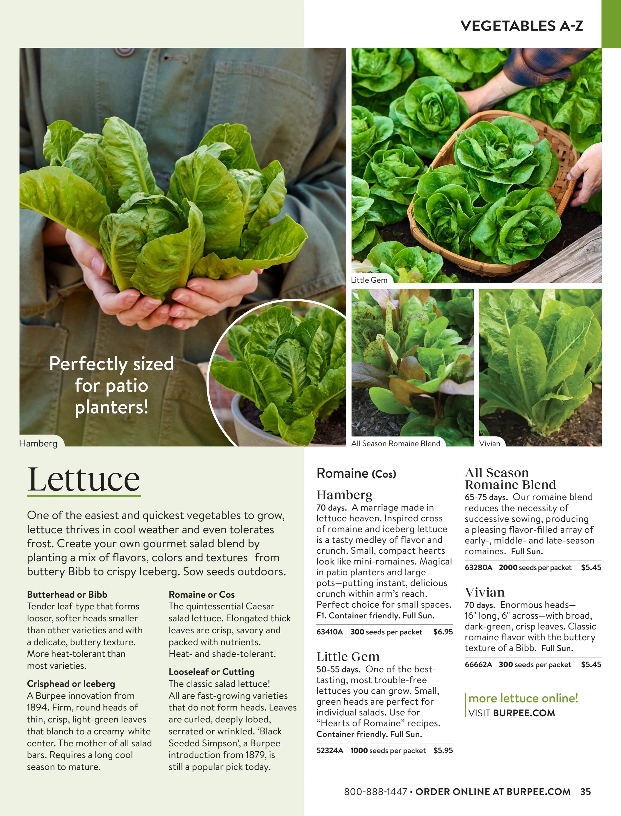 Burpee Annual Seed Catalog Weekly Ad January 1 - December 31, 2026