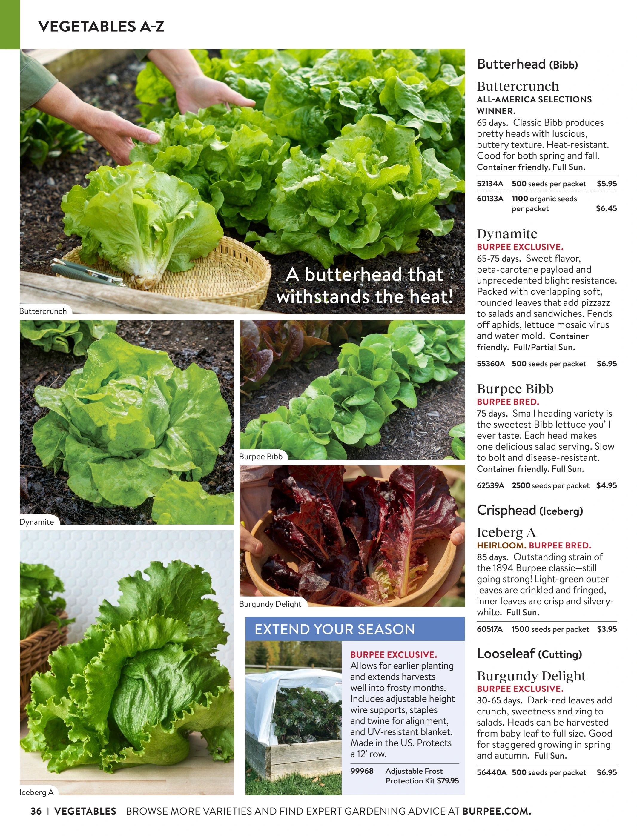 Burpee Annual Seed Catalog Weekly Ad January 1 - December 31, 2026