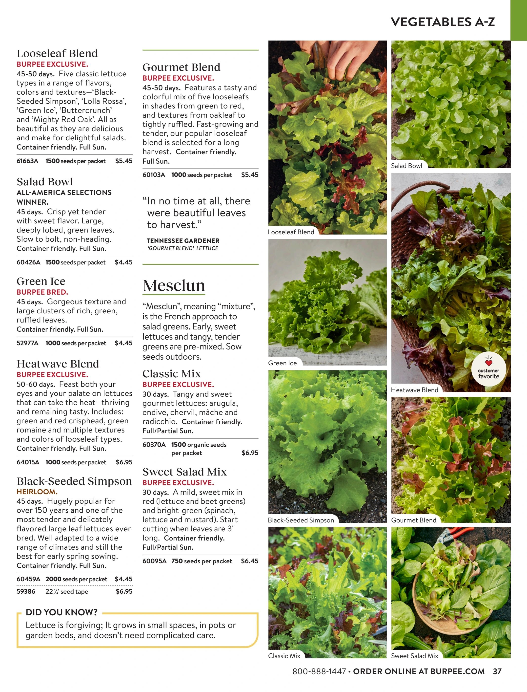 Burpee Annual Seed Catalog Weekly Ad January 1 - December 31, 2026
