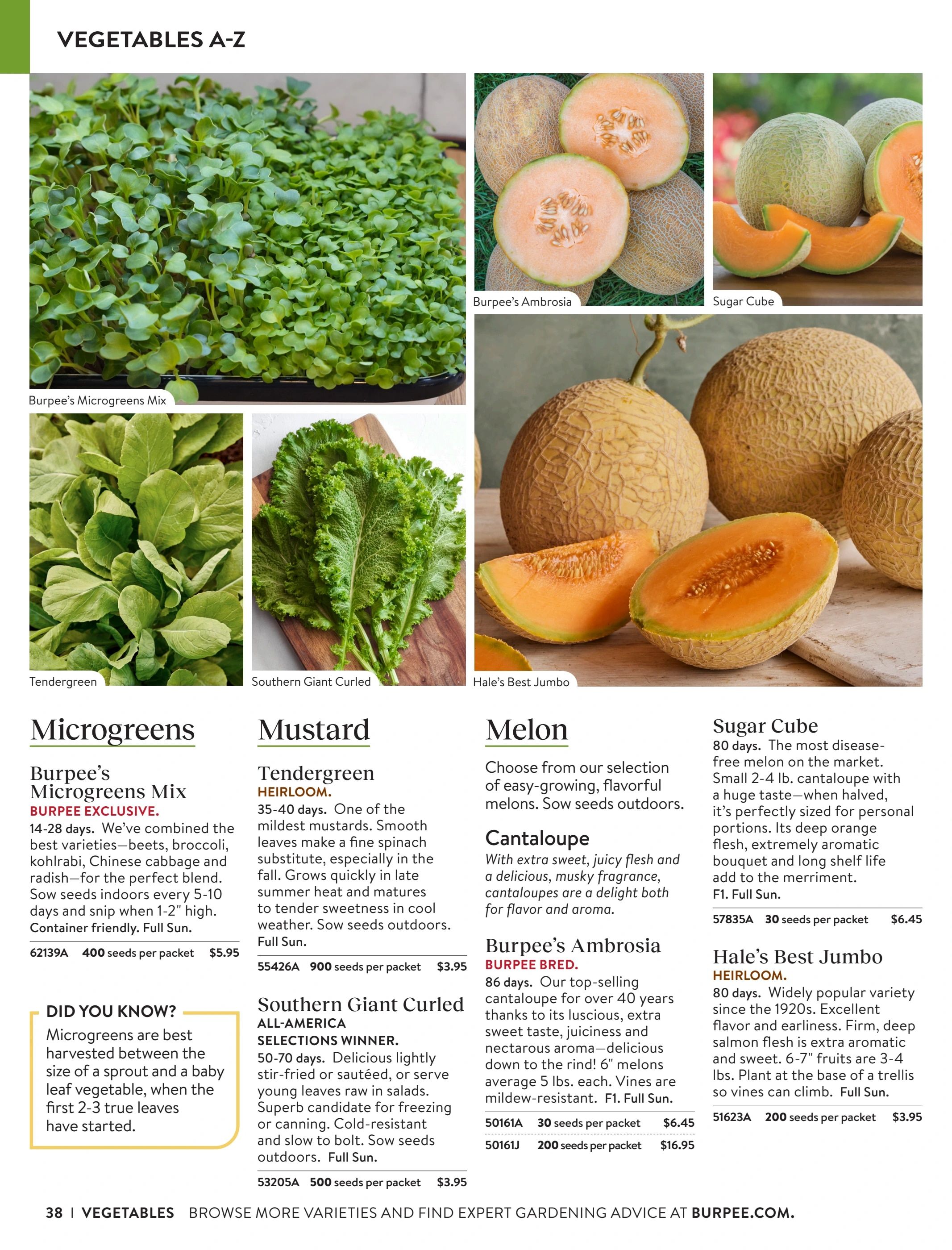 Burpee Annual Seed Catalog Weekly Ad January 1 - December 31, 2026