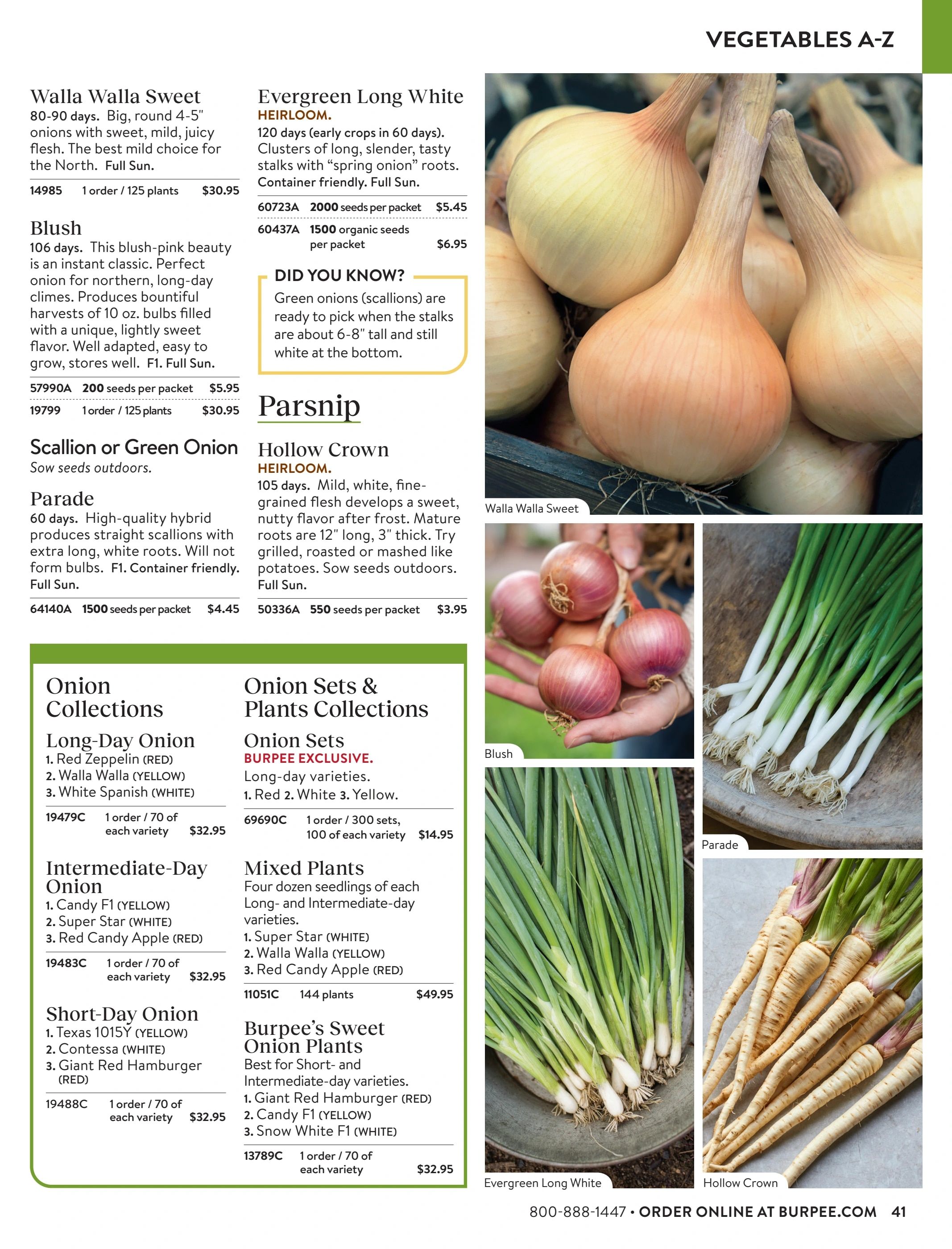 Burpee Annual Seed Catalog Weekly Ad January 1 - December 31, 2026