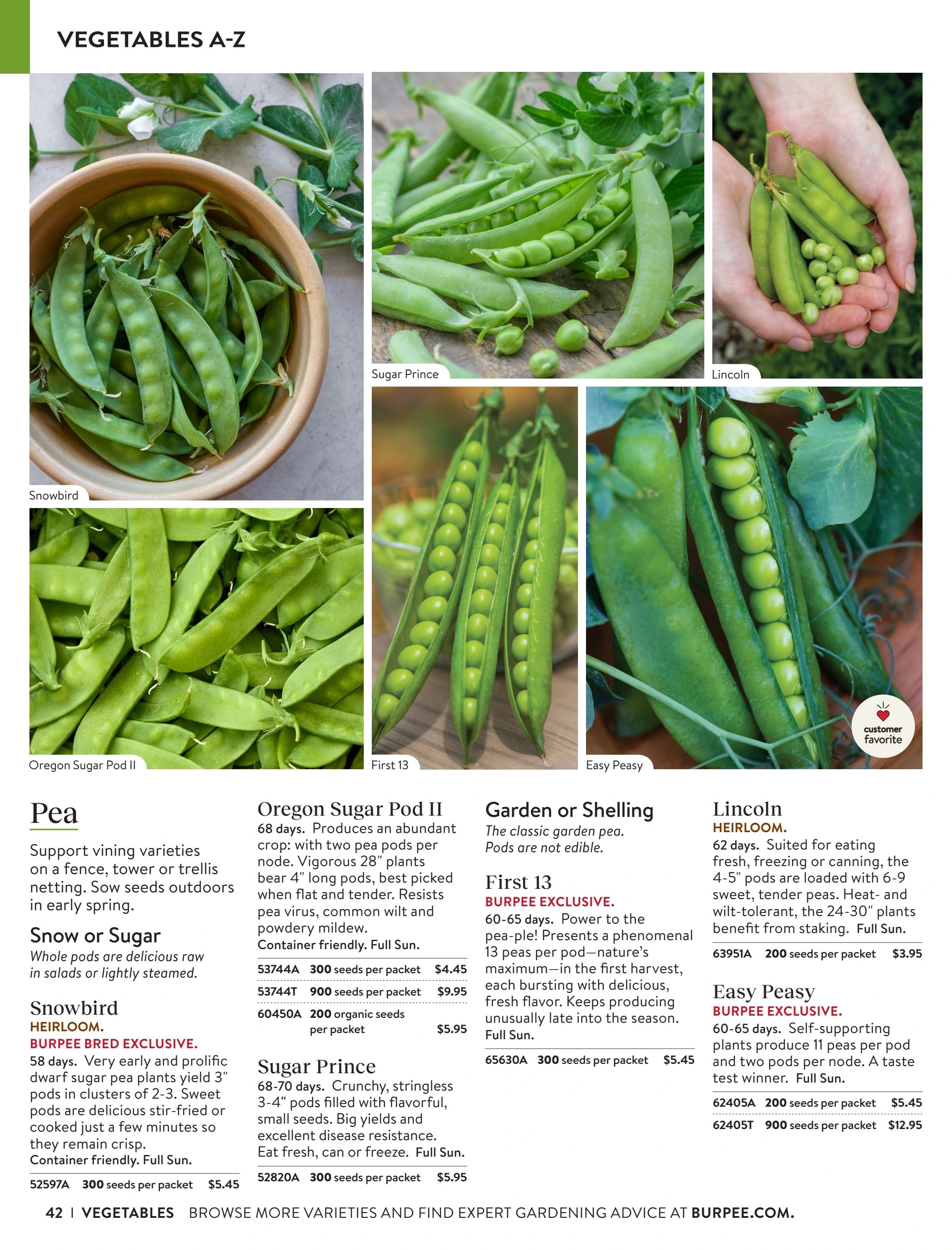 Burpee Annual Seed Catalog Weekly Ad January 1 - December 31, 2026