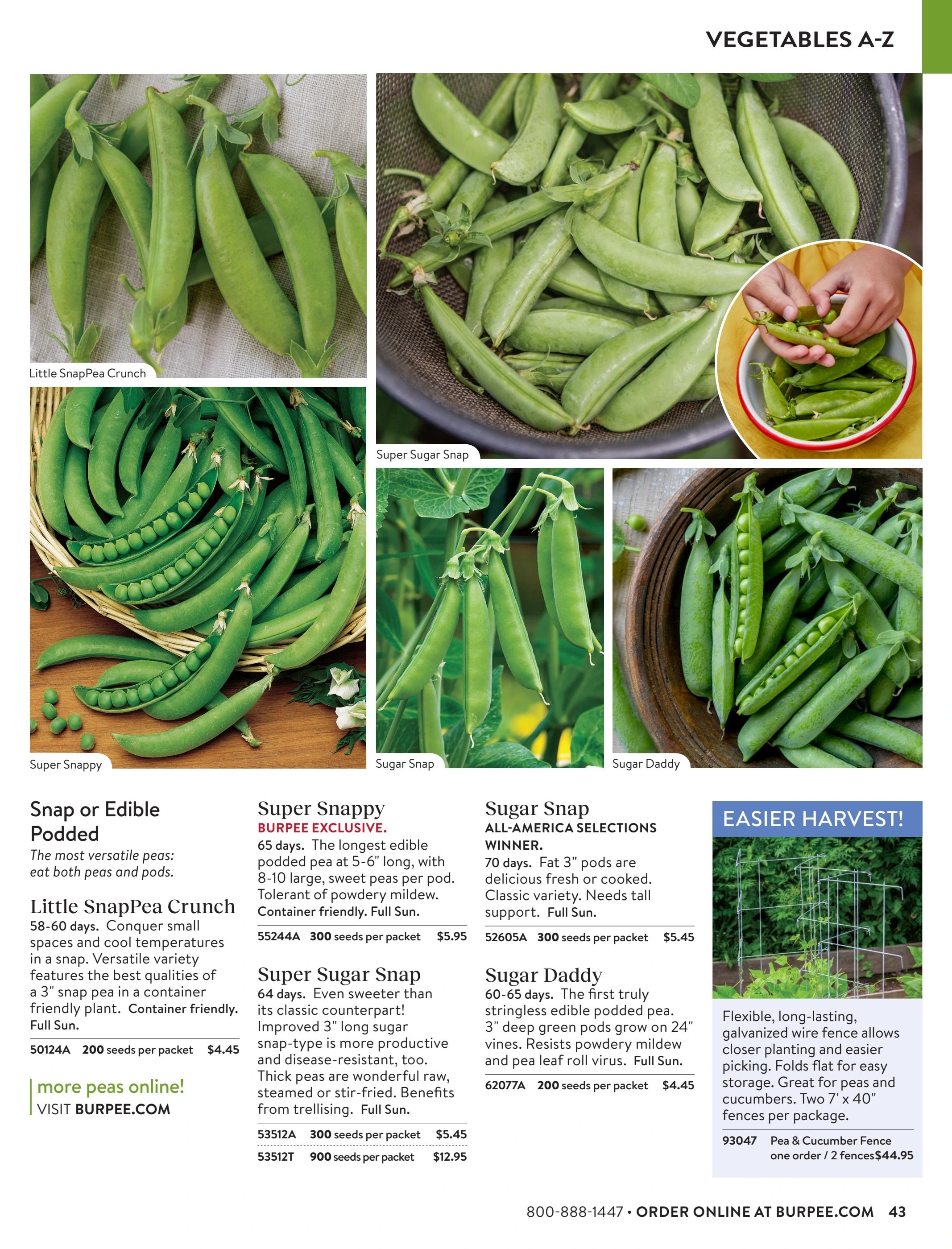 Burpee Annual Seed Catalog Weekly Ad January 1 - December 31, 2026