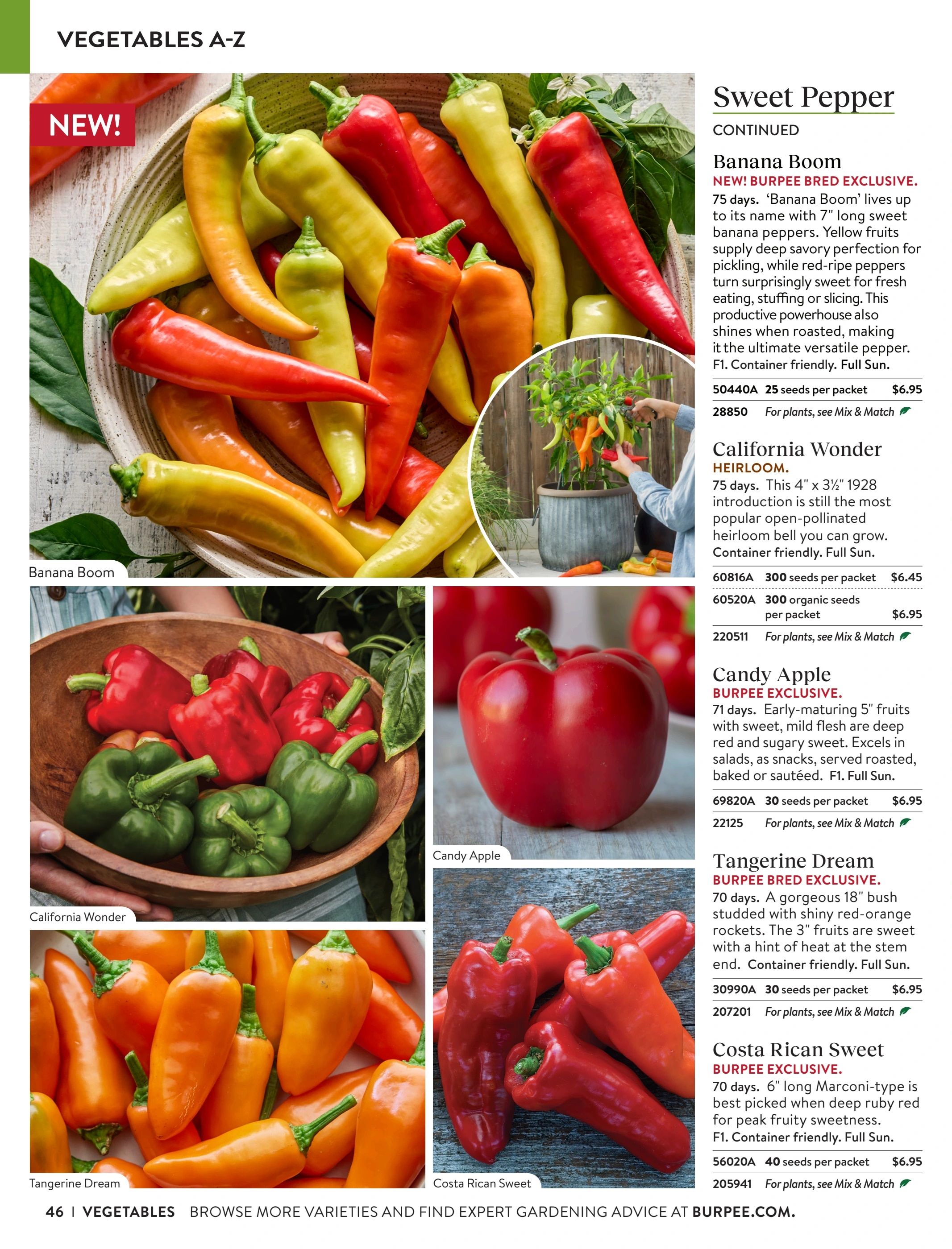 Burpee Annual Seed Catalog Weekly Ad January 1 - December 31, 2026