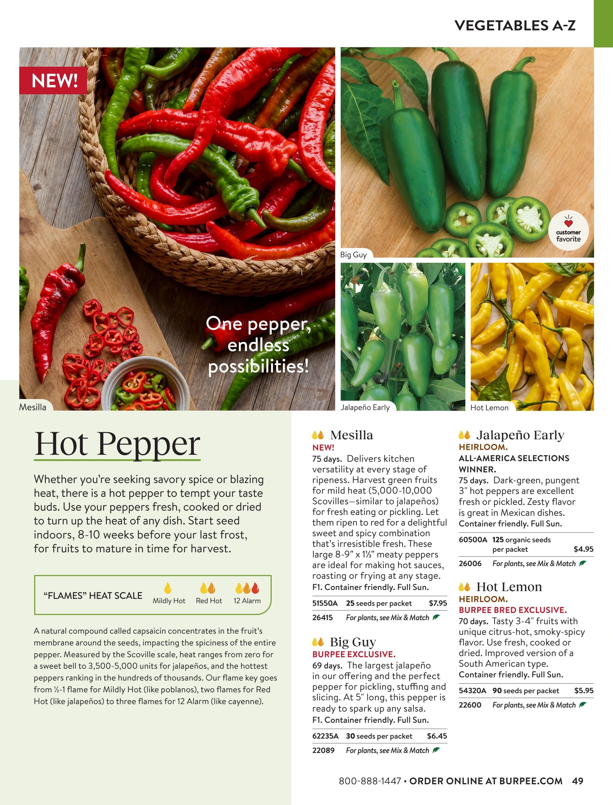 Burpee Annual Seed Catalog Weekly Ad January 1 - December 31, 2026