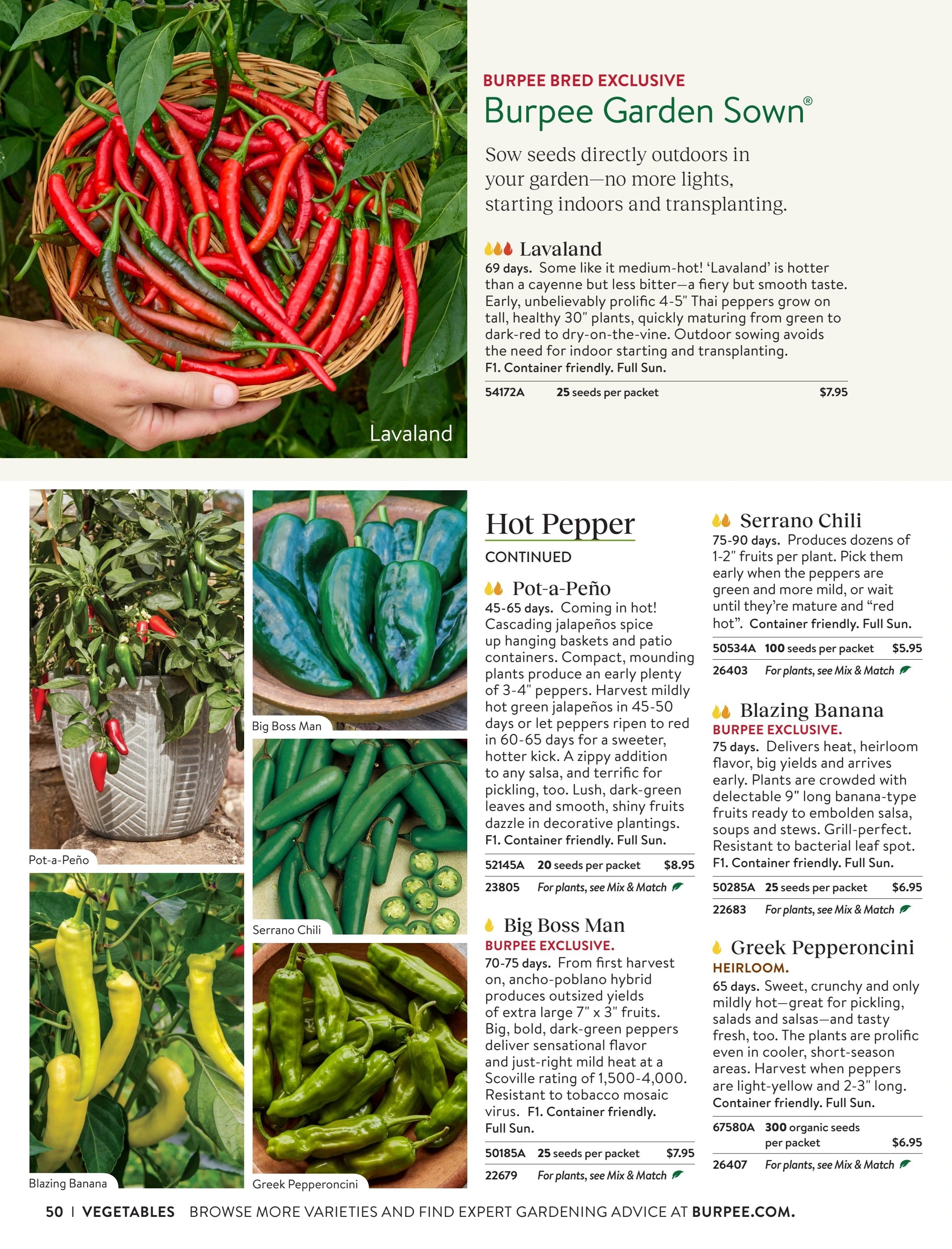 Burpee Annual Seed Catalog Weekly Ad January 1 - December 31, 2026