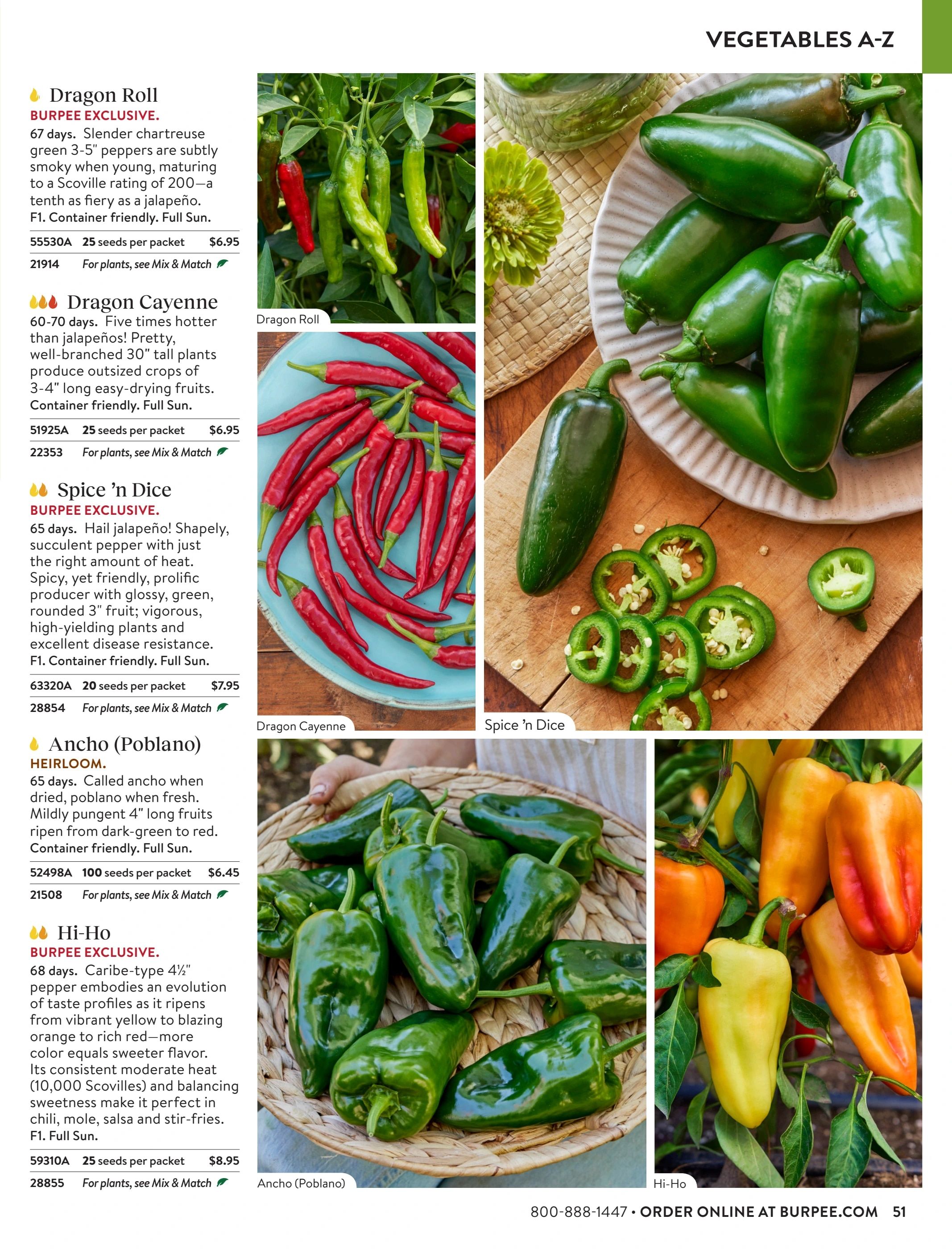 Burpee Annual Seed Catalog Weekly Ad January 1 - December 31, 2026