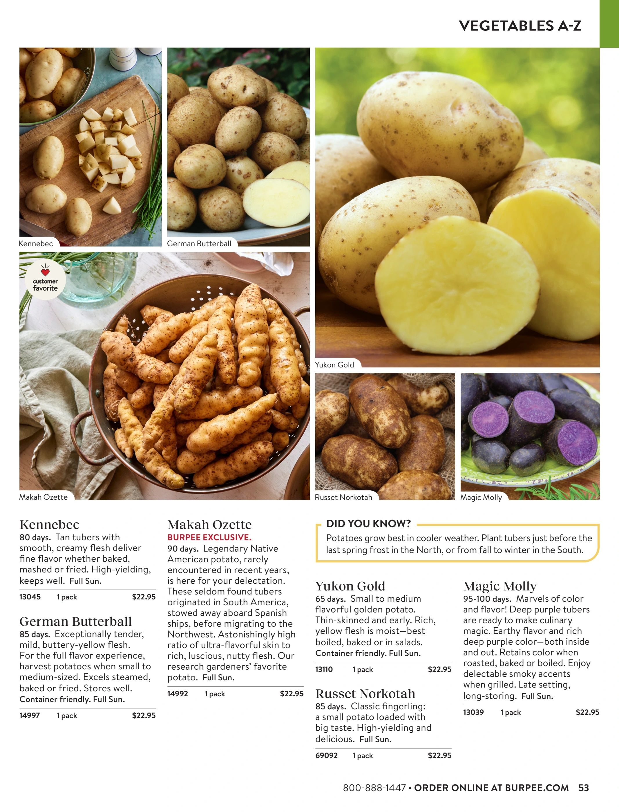 Burpee Annual Seed Catalog Weekly Ad January 1 - December 31, 2026