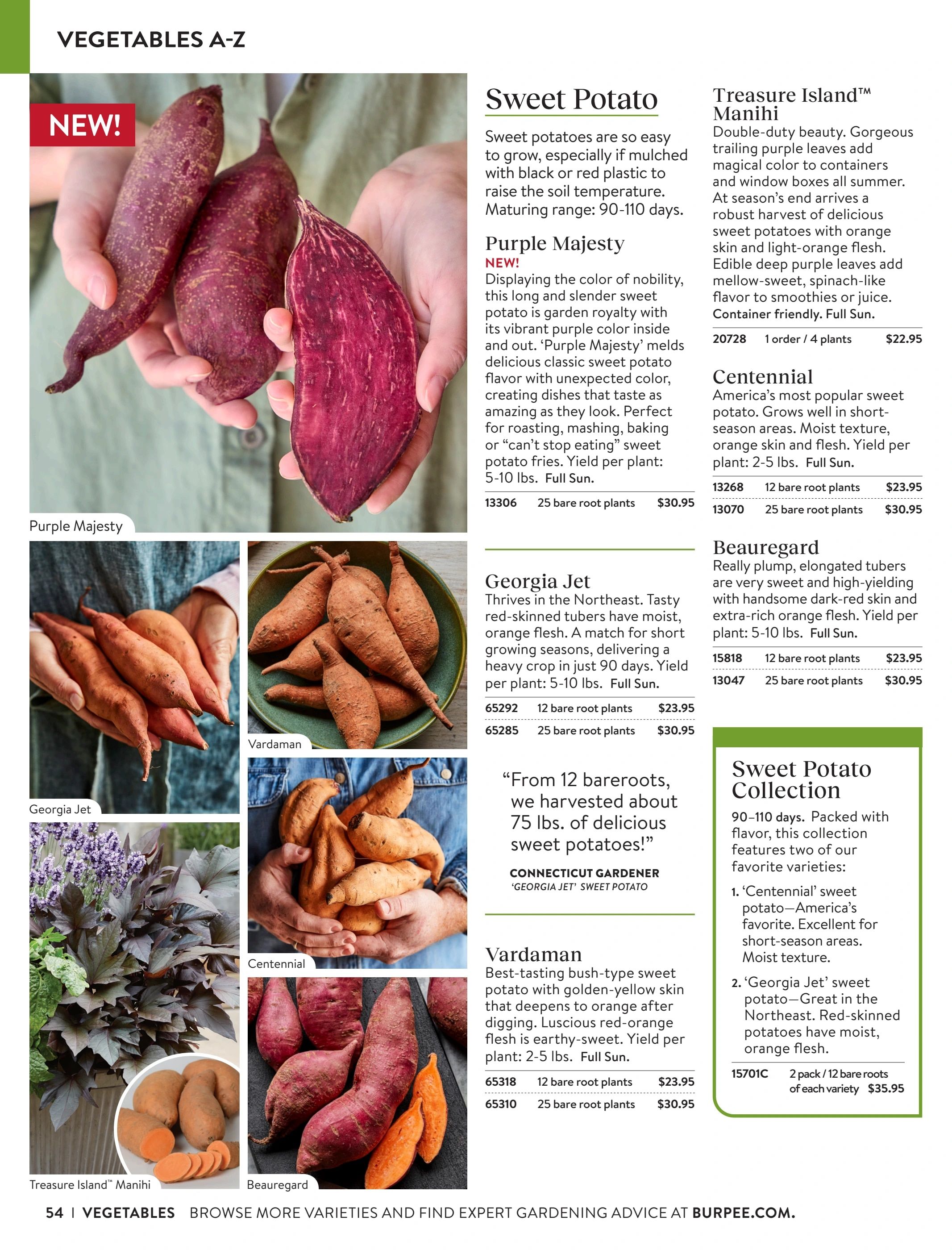 Burpee Annual Seed Catalog Weekly Ad January 1 - December 31, 2026