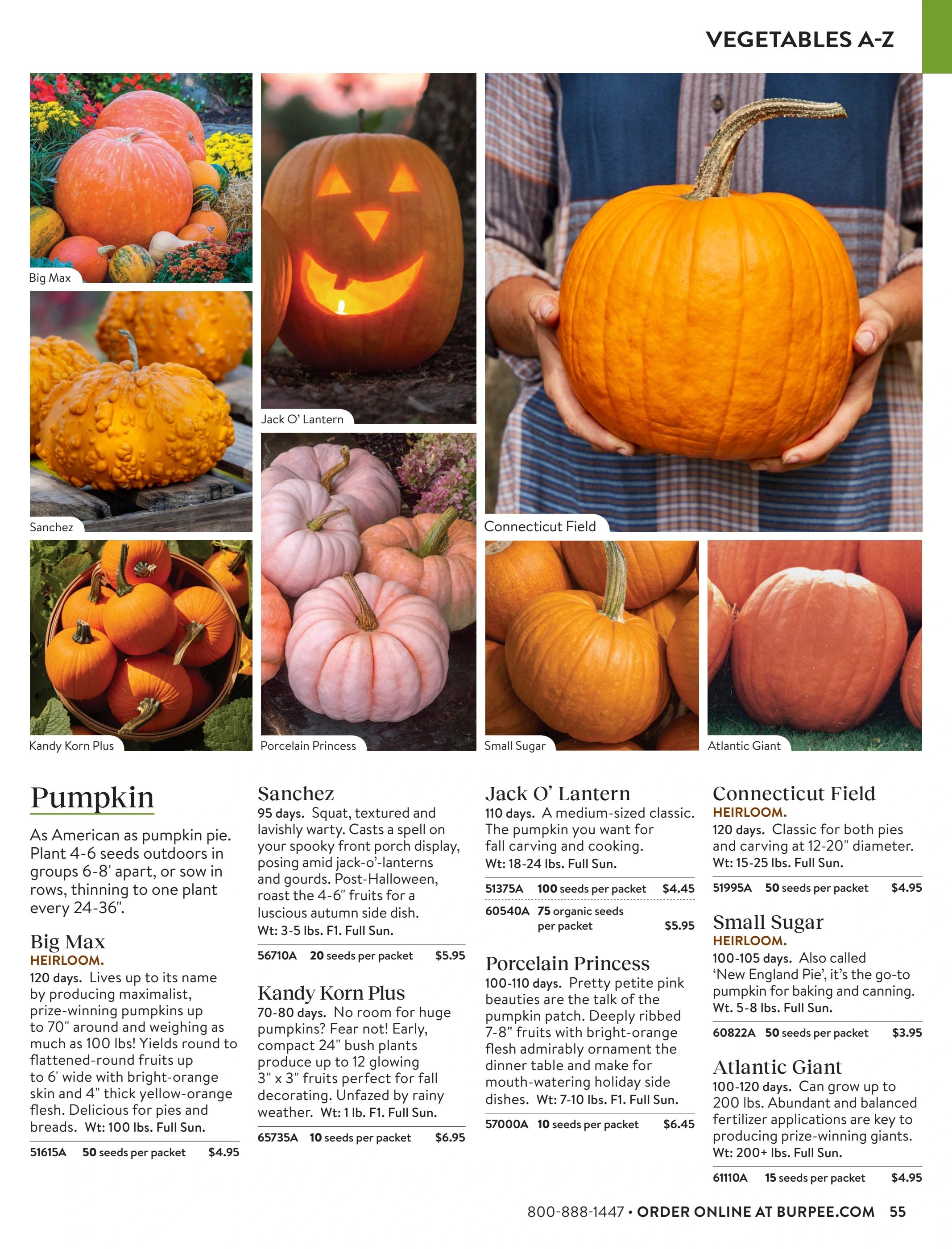 Burpee Annual Seed Catalog Weekly Ad January 1 - December 31, 2026