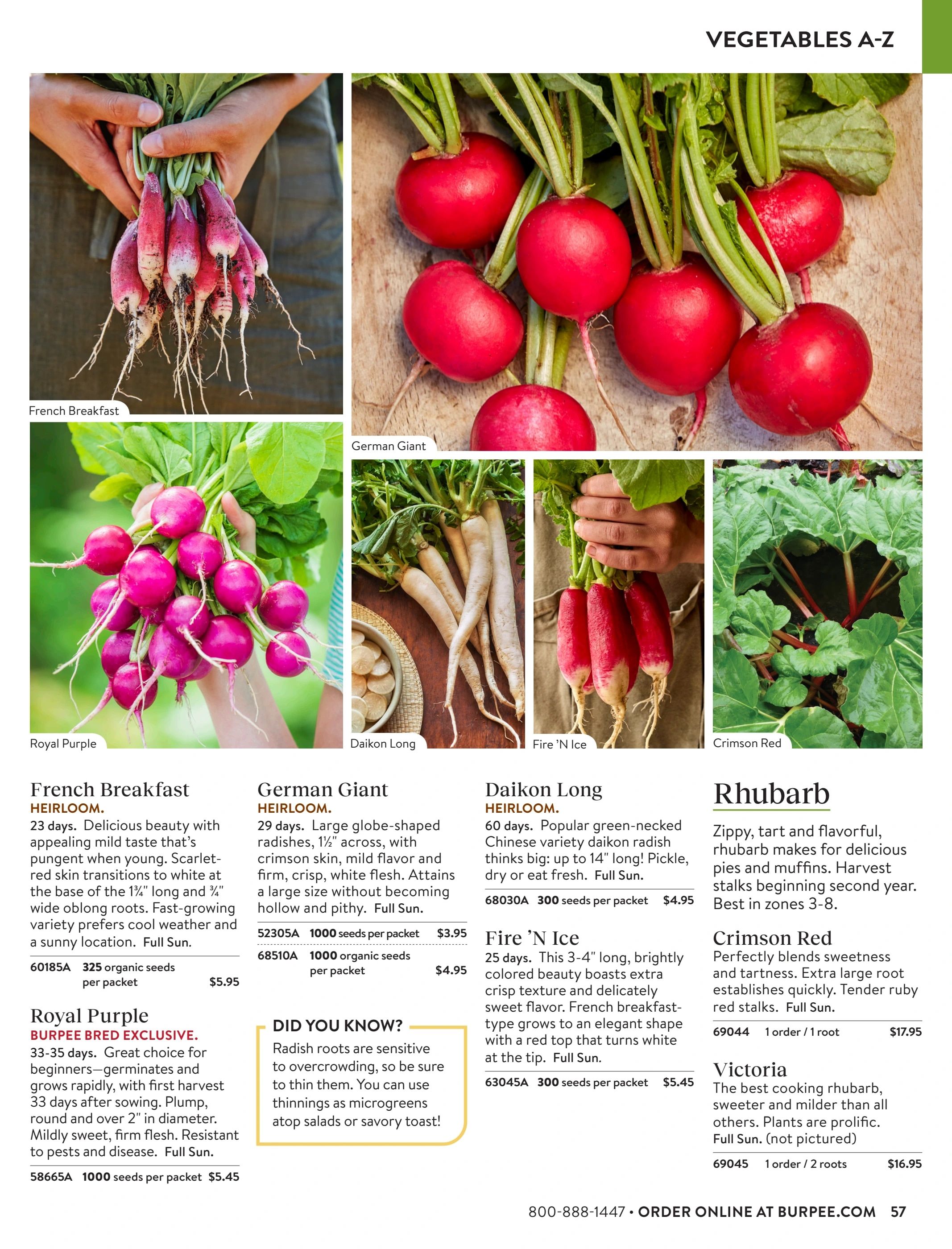 Burpee Annual Seed Catalog Weekly Ad January 1 - December 31, 2026