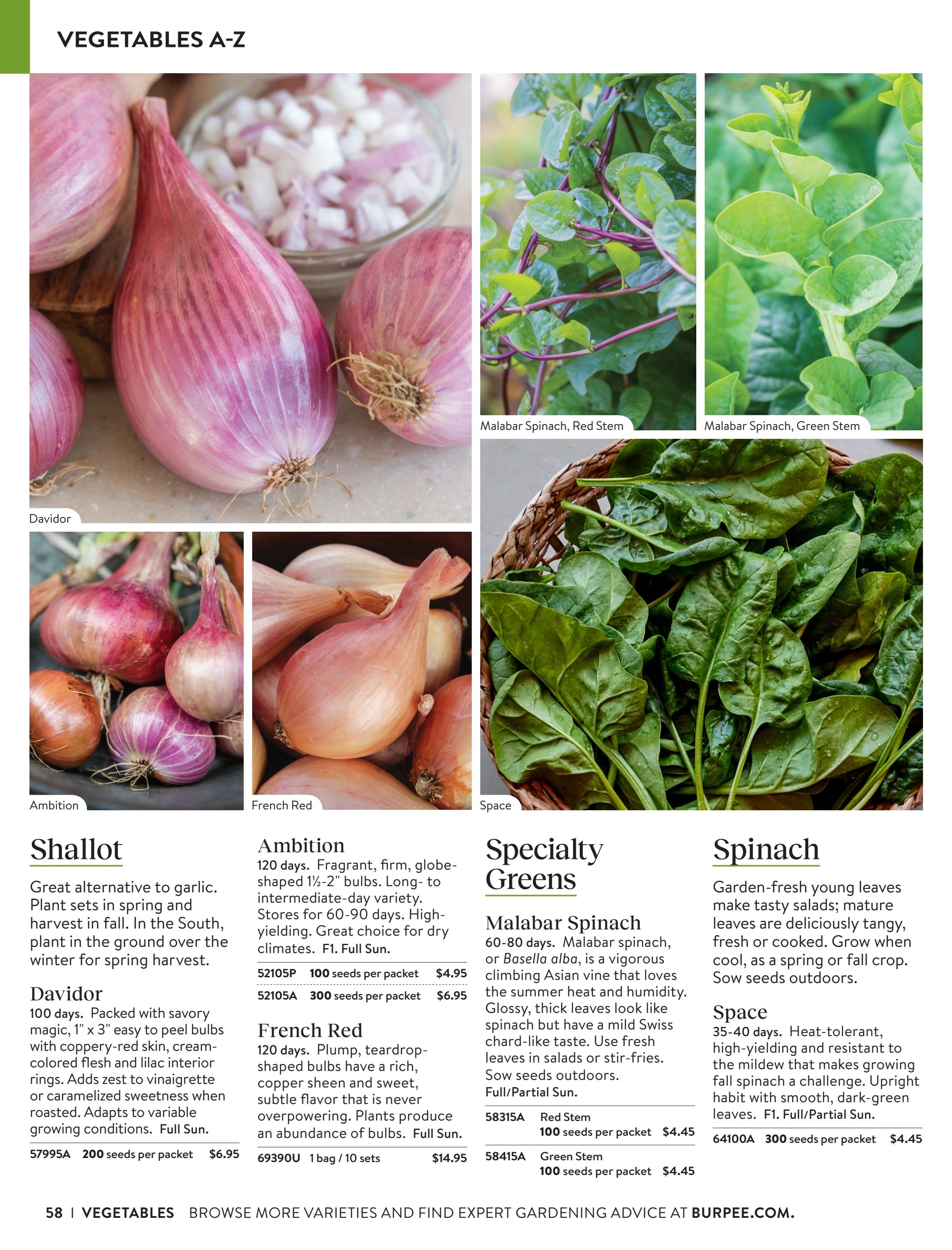 Burpee Annual Seed Catalog Weekly Ad January 1 - December 31, 2026