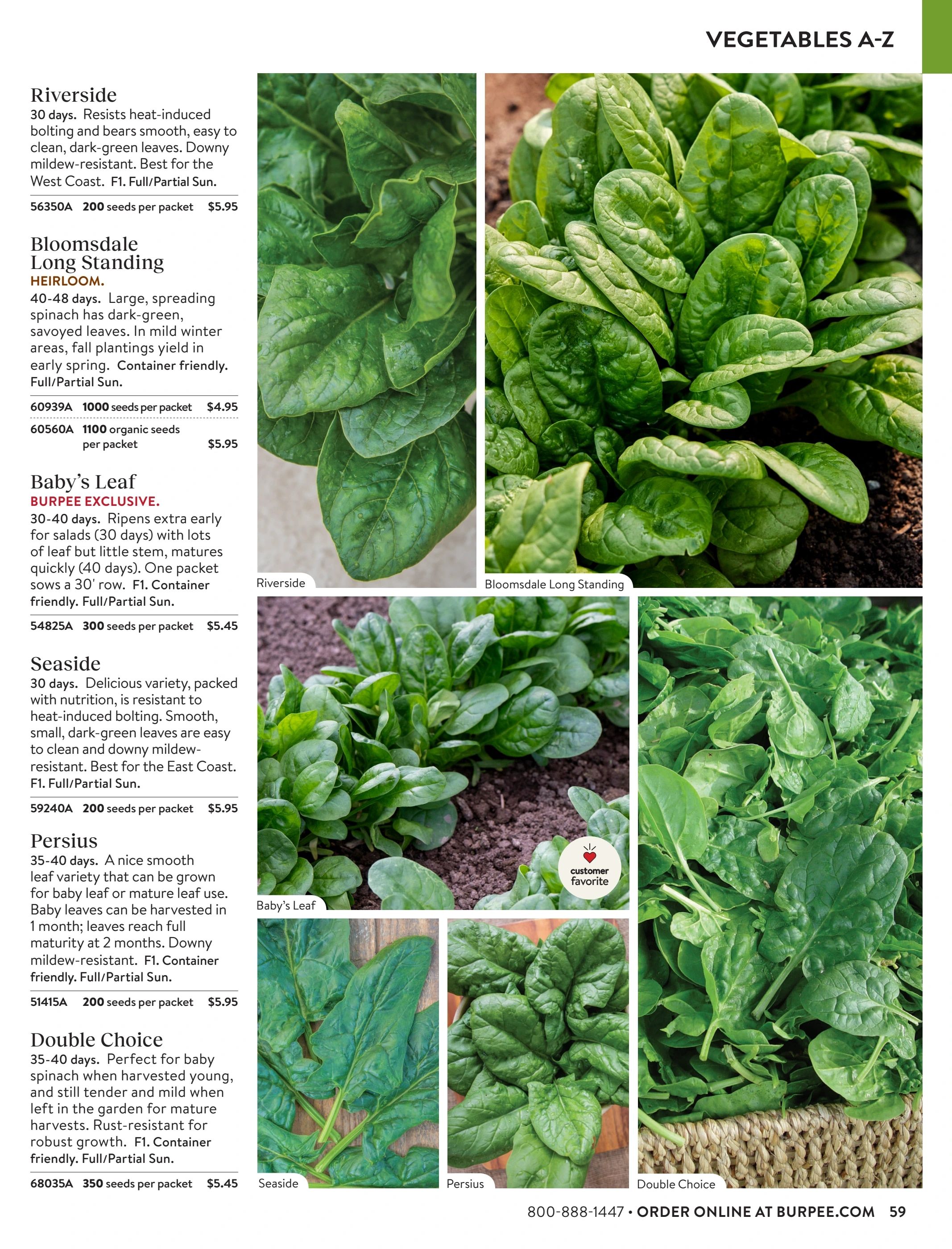 Burpee Annual Seed Catalog Weekly Ad January 1 - December 31, 2026