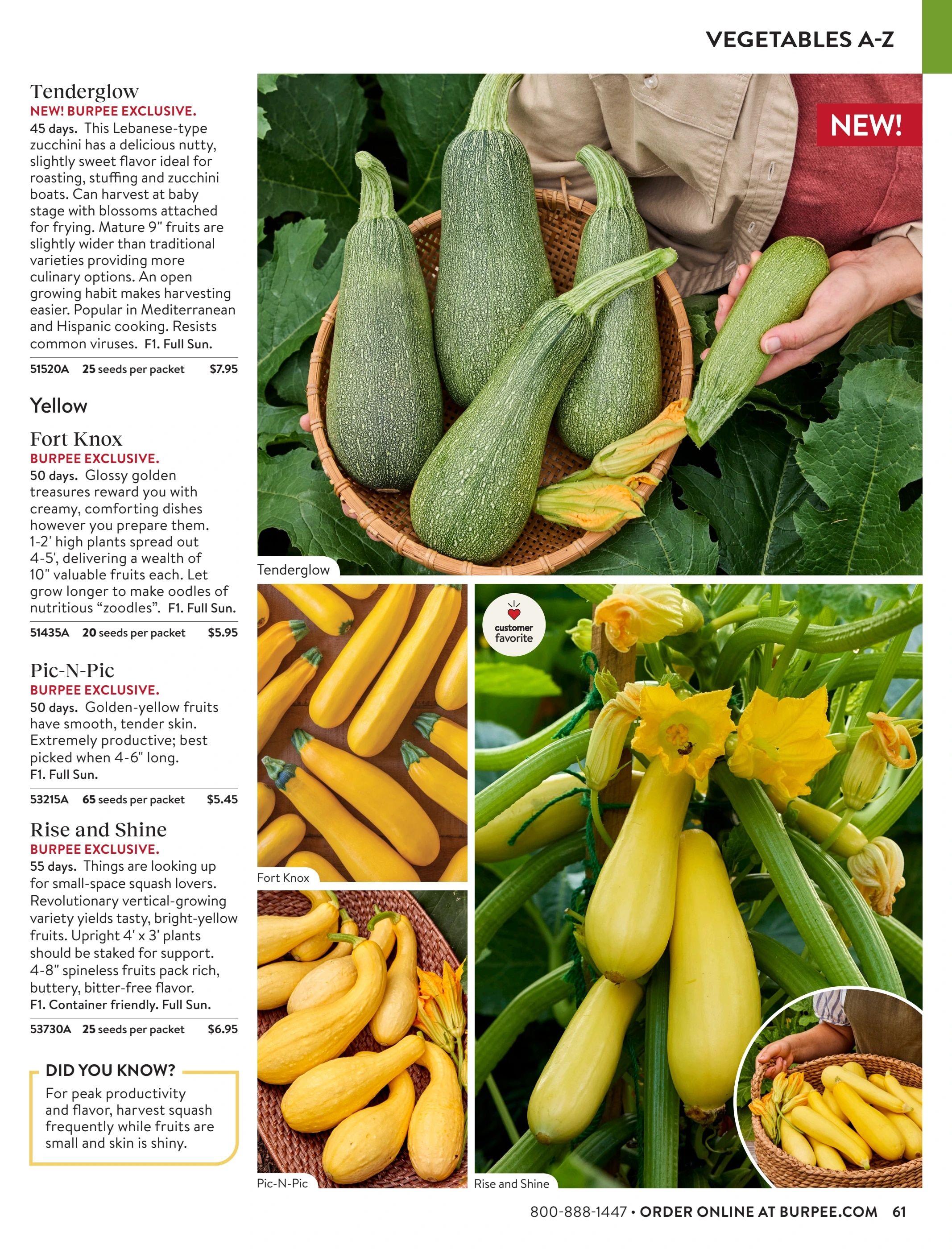 Burpee Annual Seed Catalog Weekly Ad January 1 - December 31, 2026