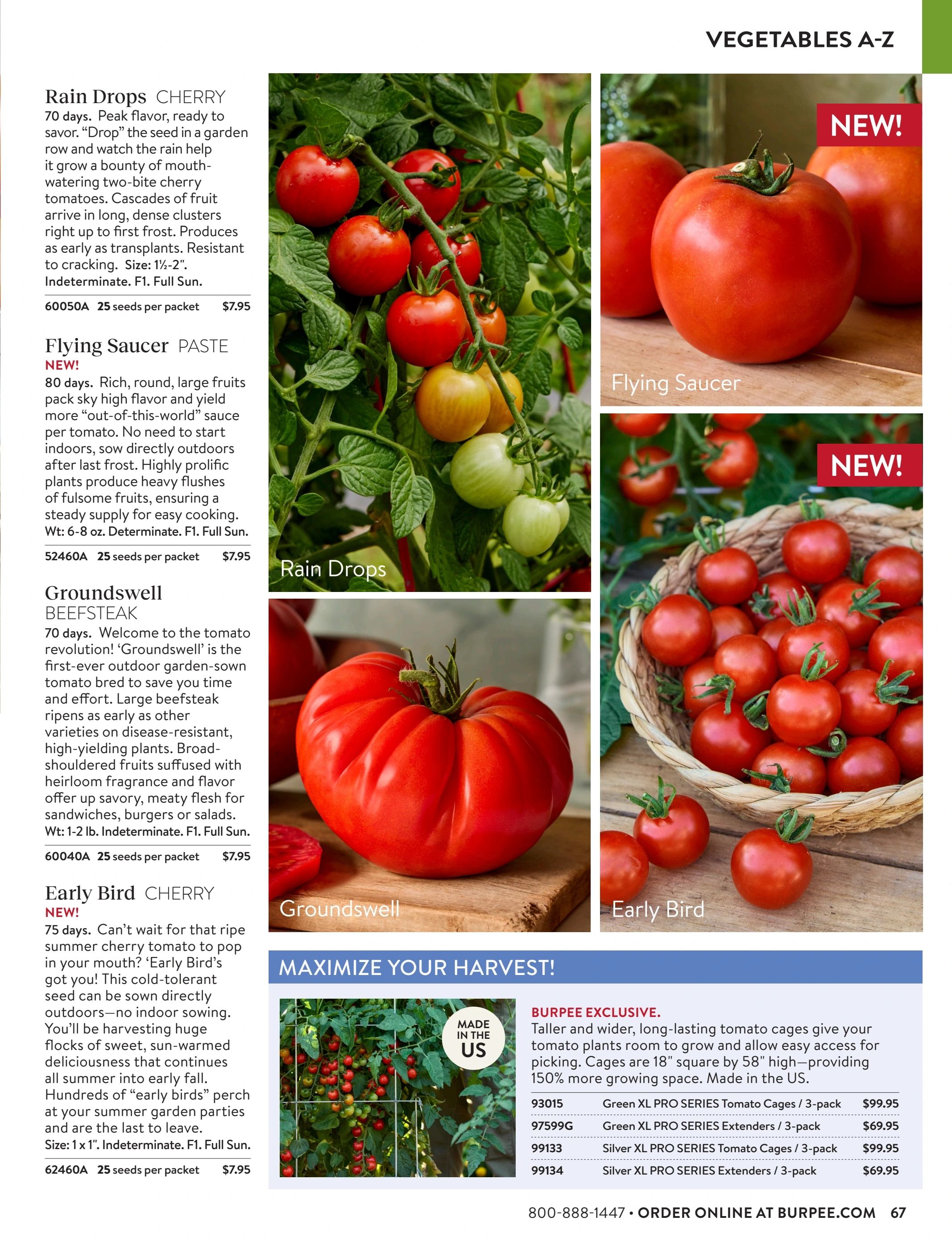 Burpee Annual Seed Catalog Weekly Ad January 1 - December 31, 2026