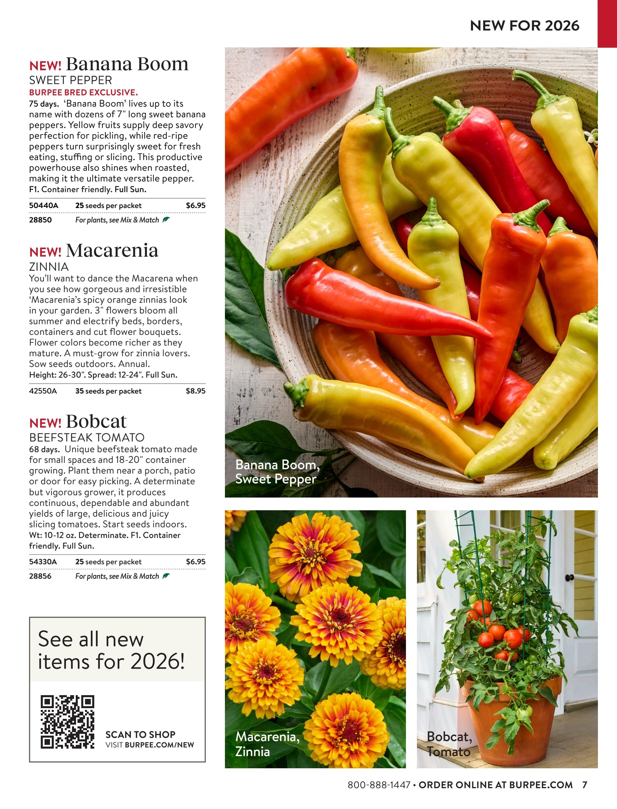Burpee Annual Seed Catalog Weekly Ad January 1 - December 31, 2026