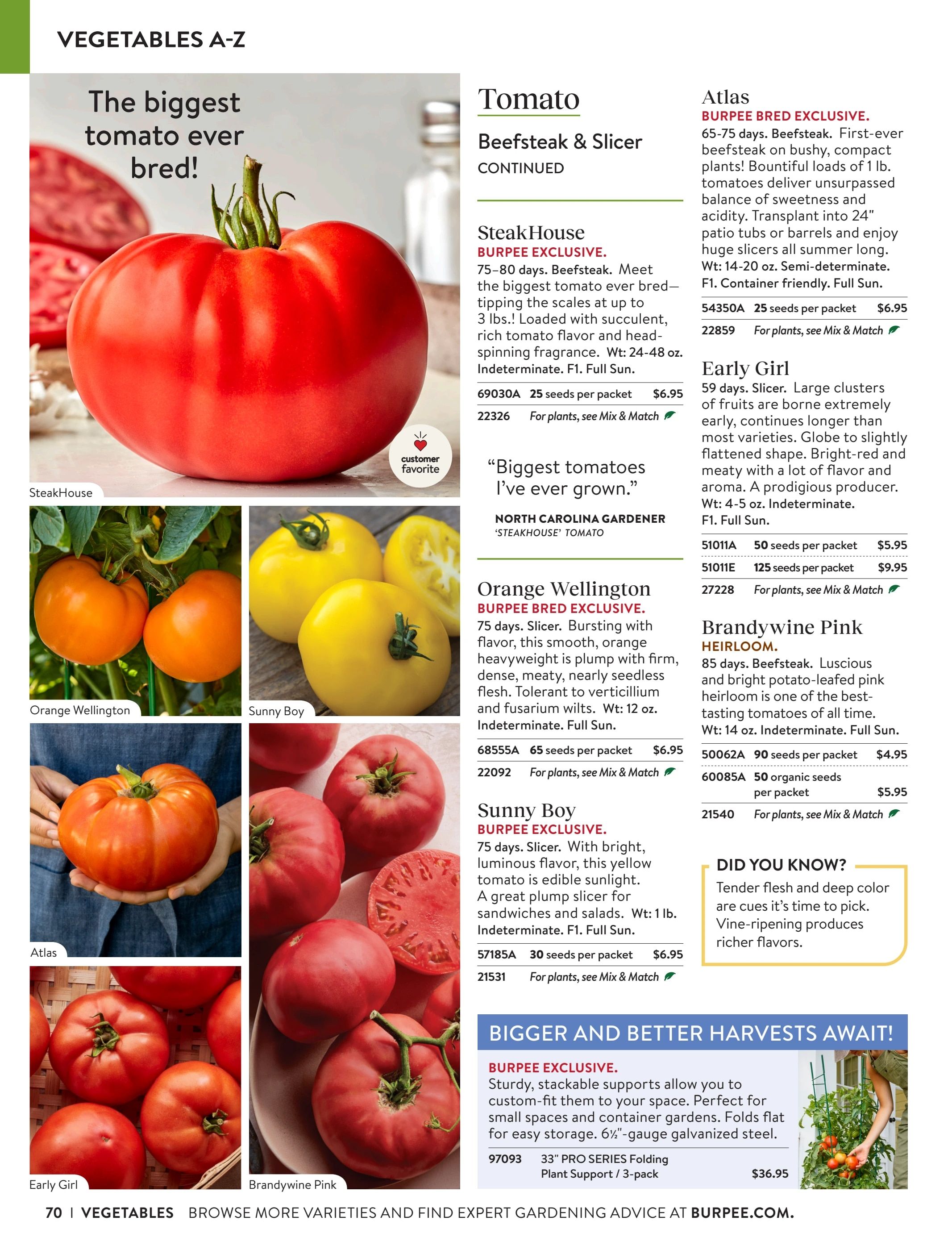 Burpee Annual Seed Catalog Weekly Ad January 1 - December 31, 2026