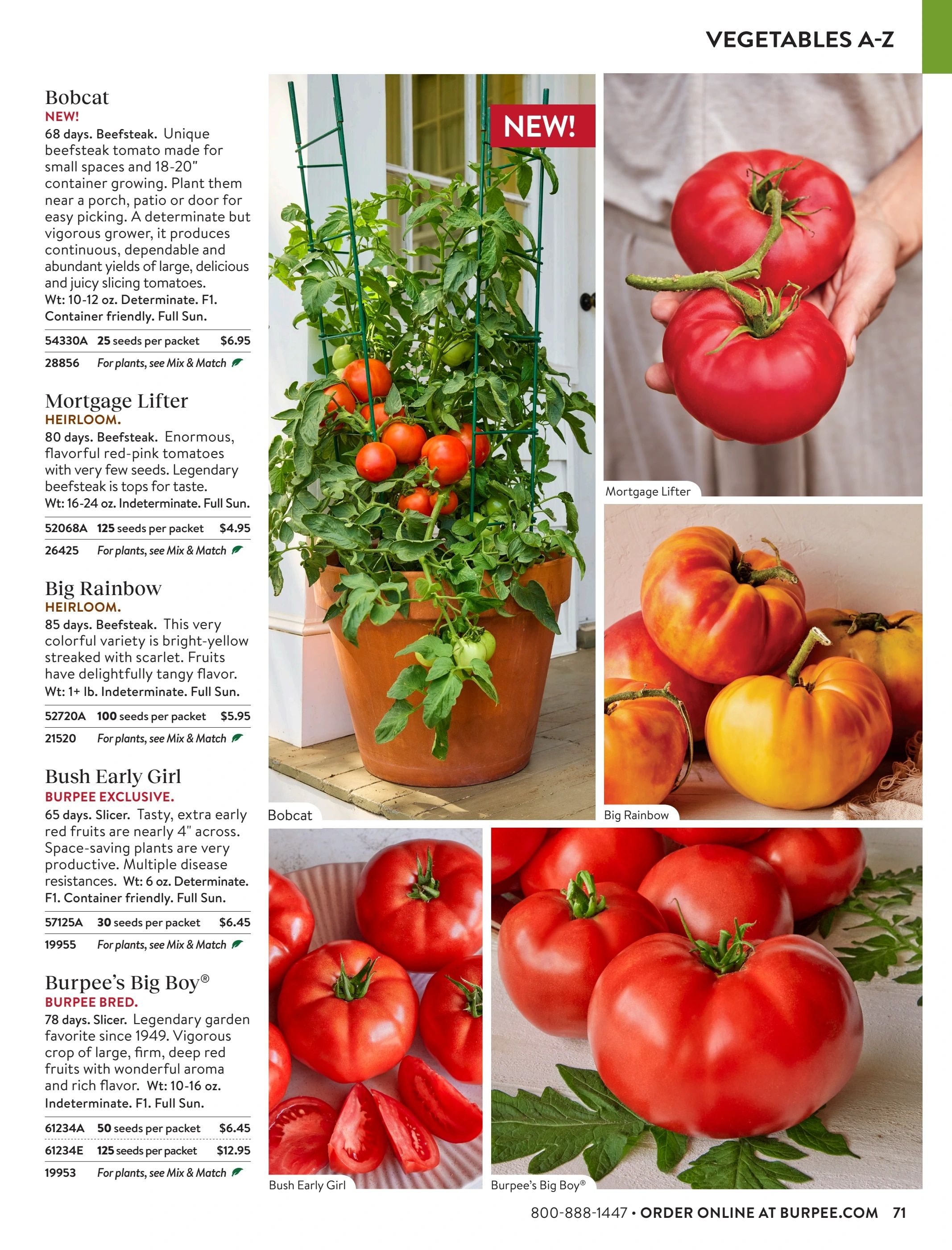 Burpee Annual Seed Catalog Weekly Ad January 1 - December 31, 2026