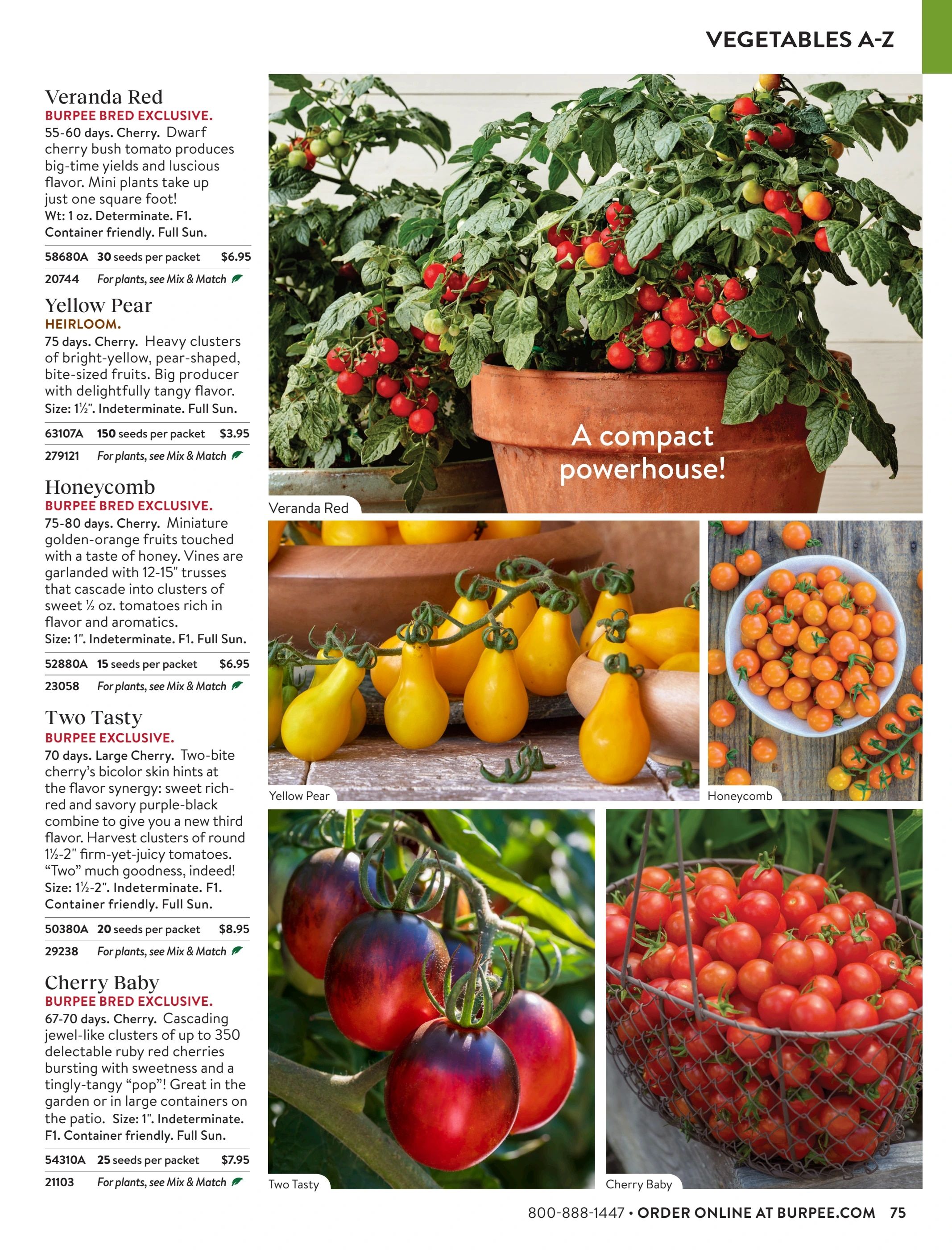 Burpee Annual Seed Catalog Weekly Ad January 1 - December 31, 2026