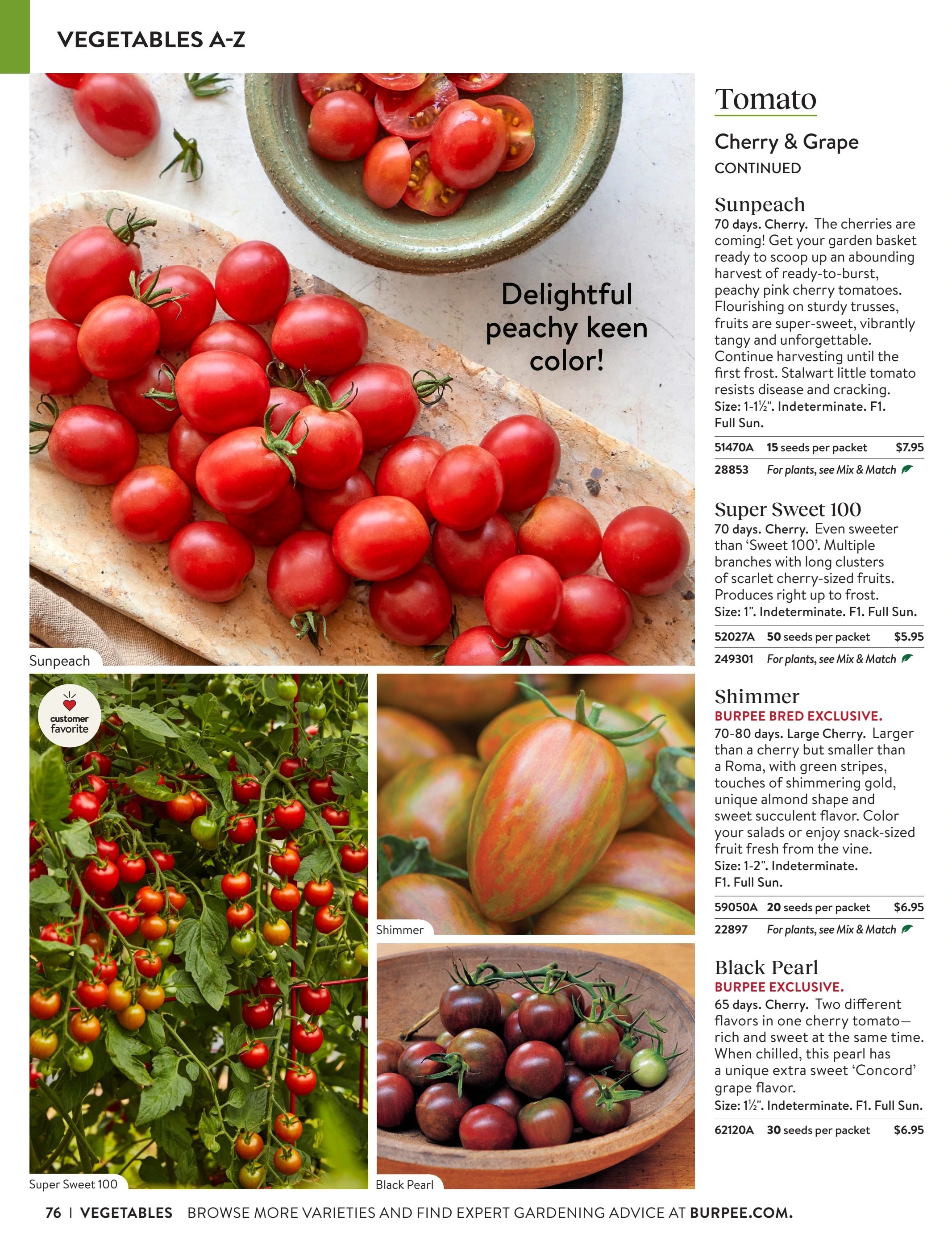 Burpee Annual Seed Catalog Weekly Ad January 1 - December 31, 2026