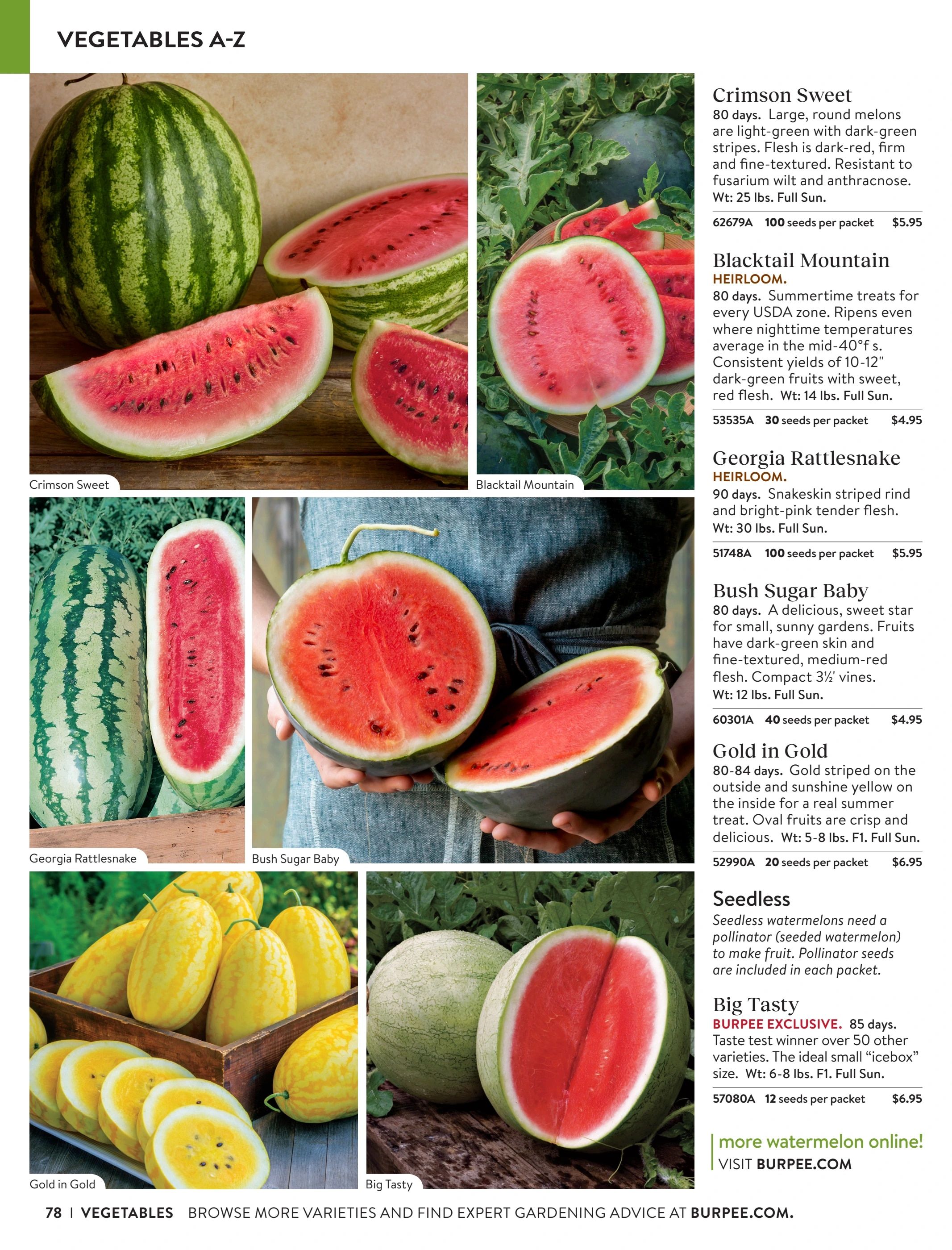 Burpee Annual Seed Catalog Weekly Ad January 1 - December 31, 2026