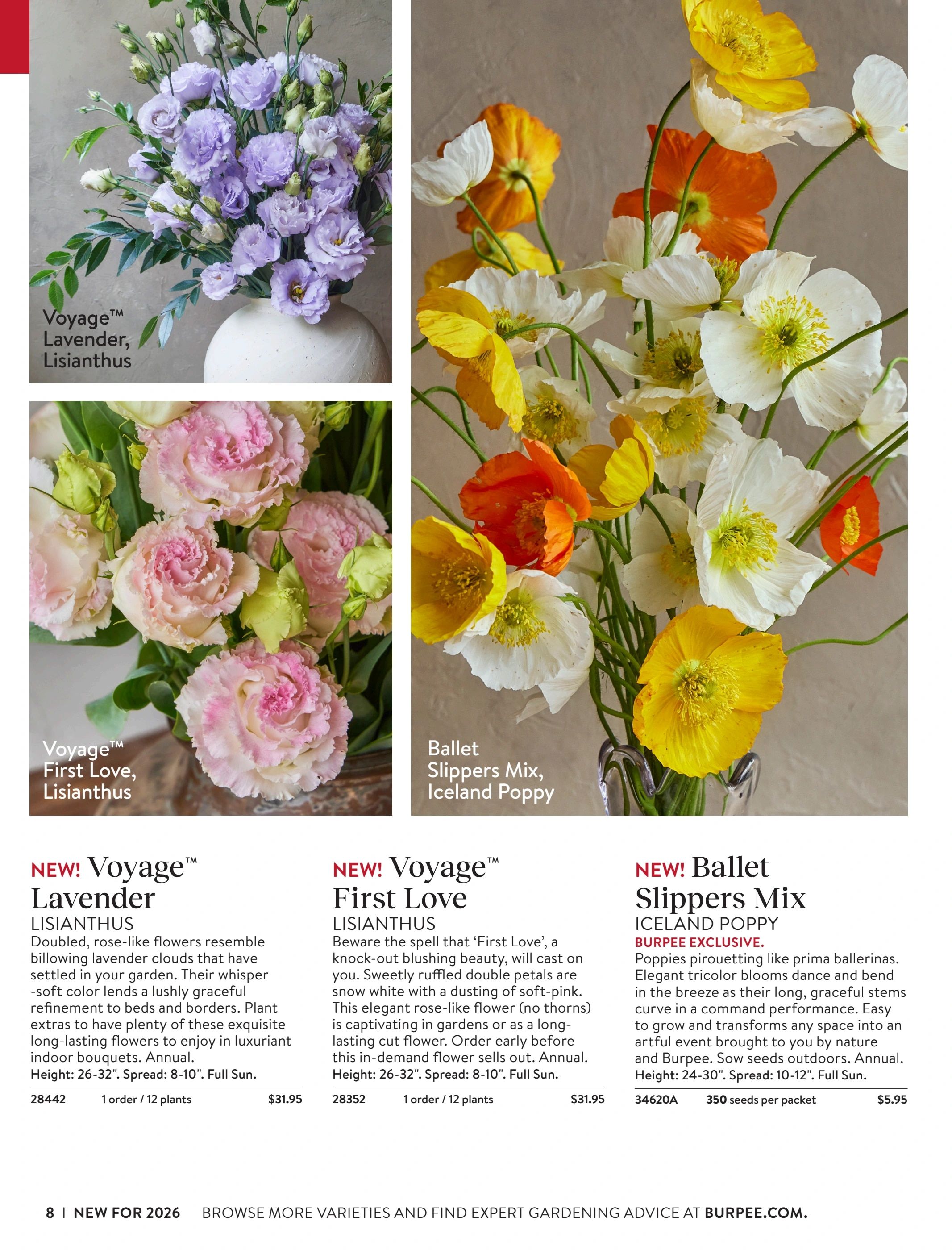 Burpee Annual Seed Catalog Weekly Ad January 1 - December 31, 2026