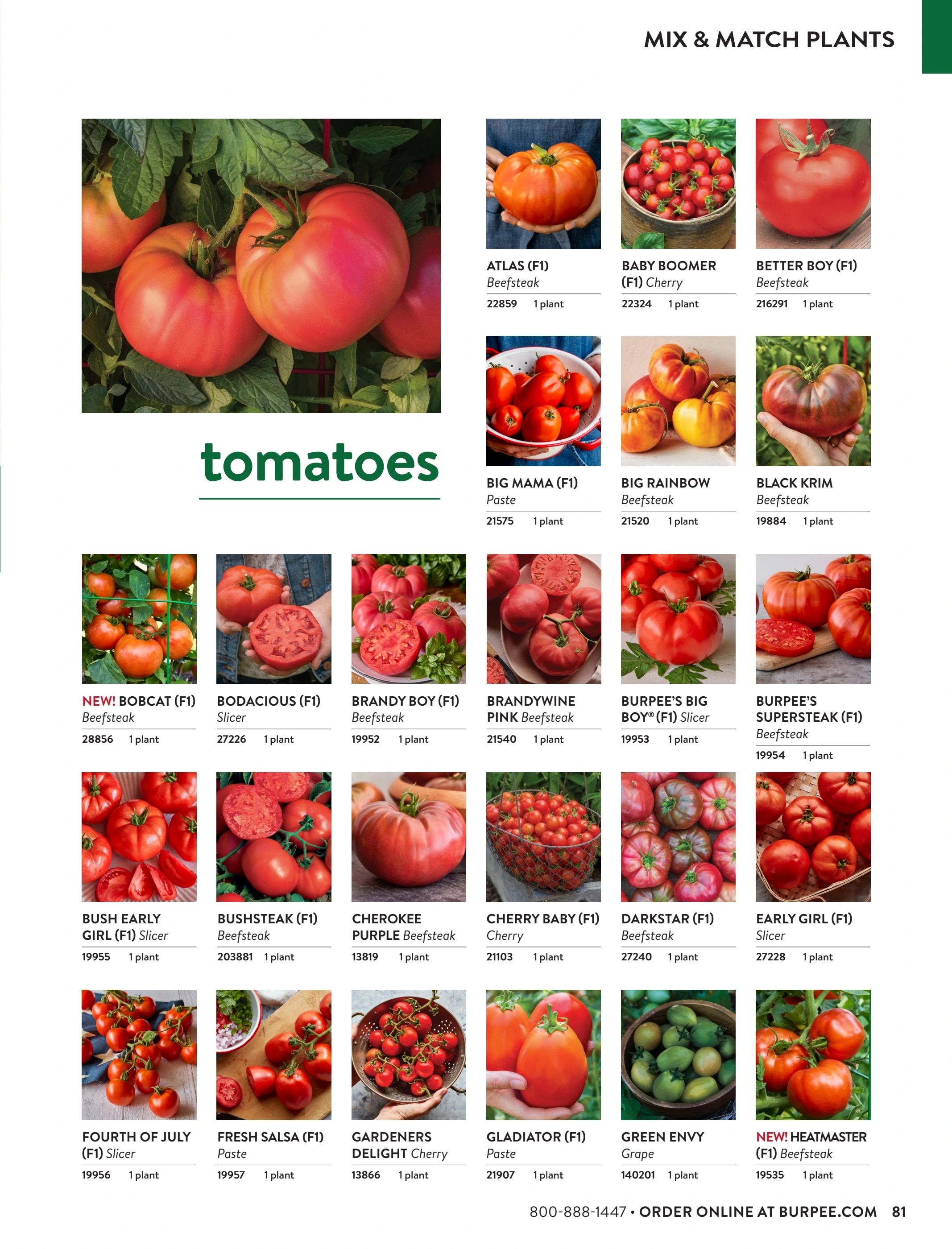 Burpee Annual Seed Catalog Weekly Ad January 1 - December 31, 2026